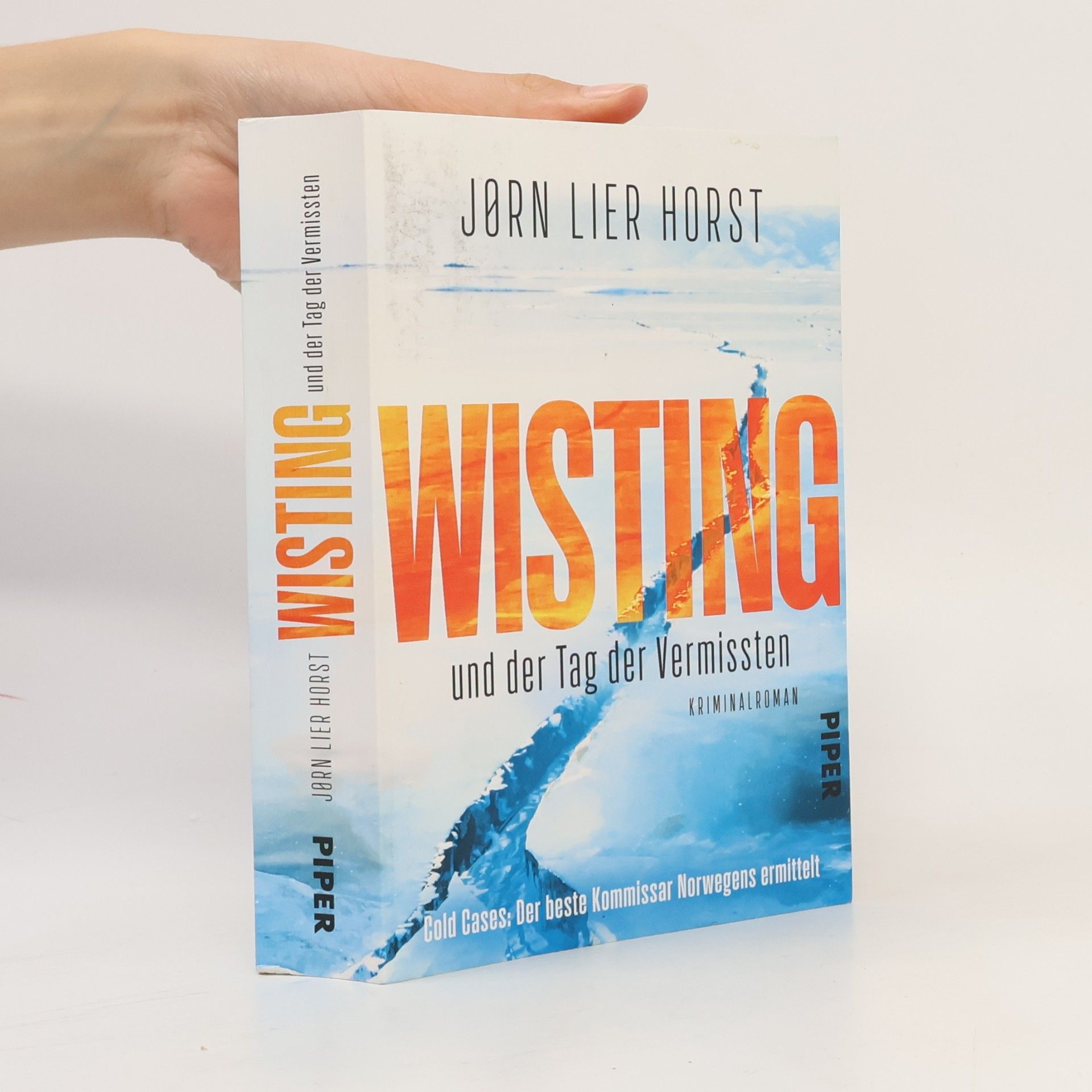 Jorn Lier Enger Thomas Horst Wisting und der Tag der Vermissten