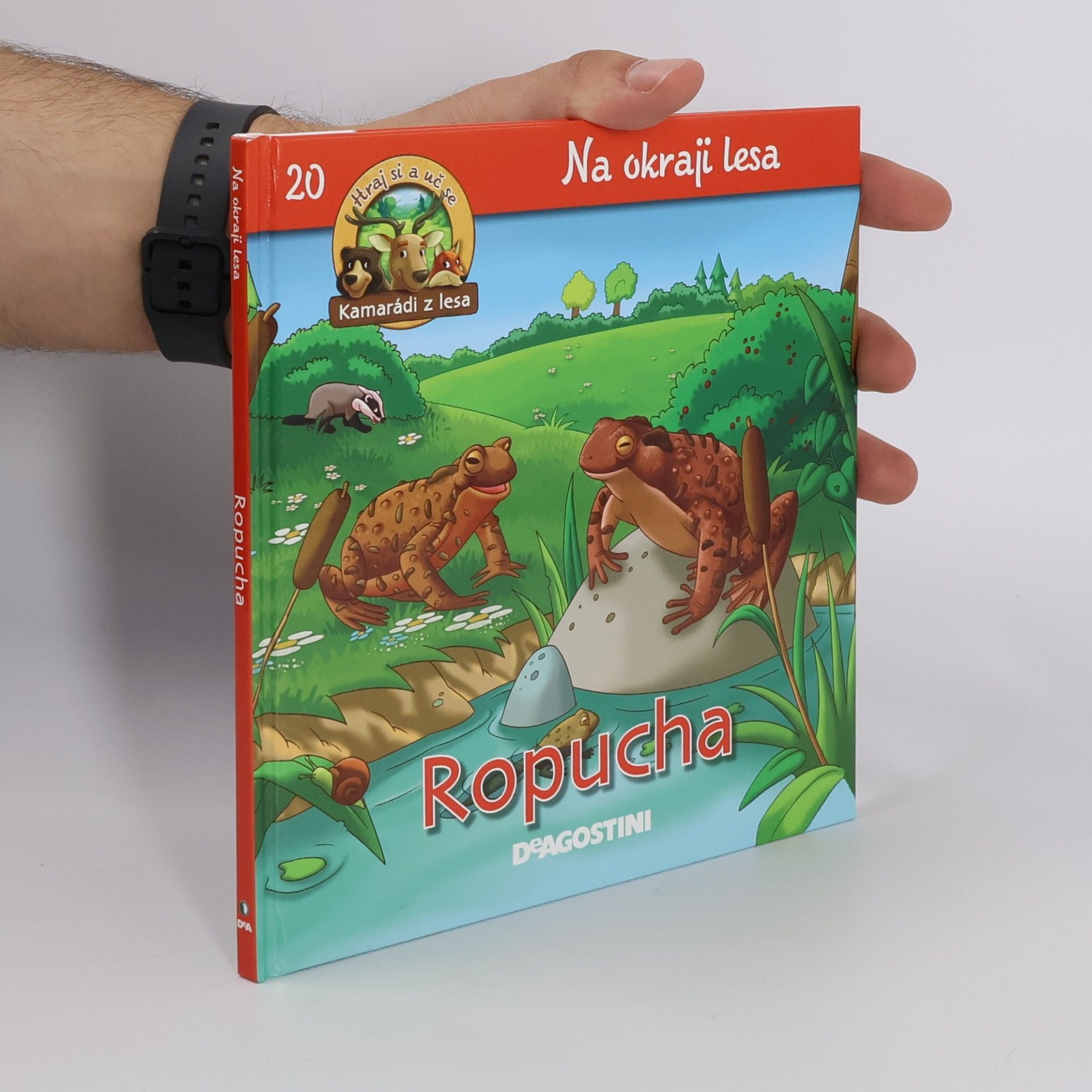 Kolektiv autorů Na okraji lesa 20. Ropucha