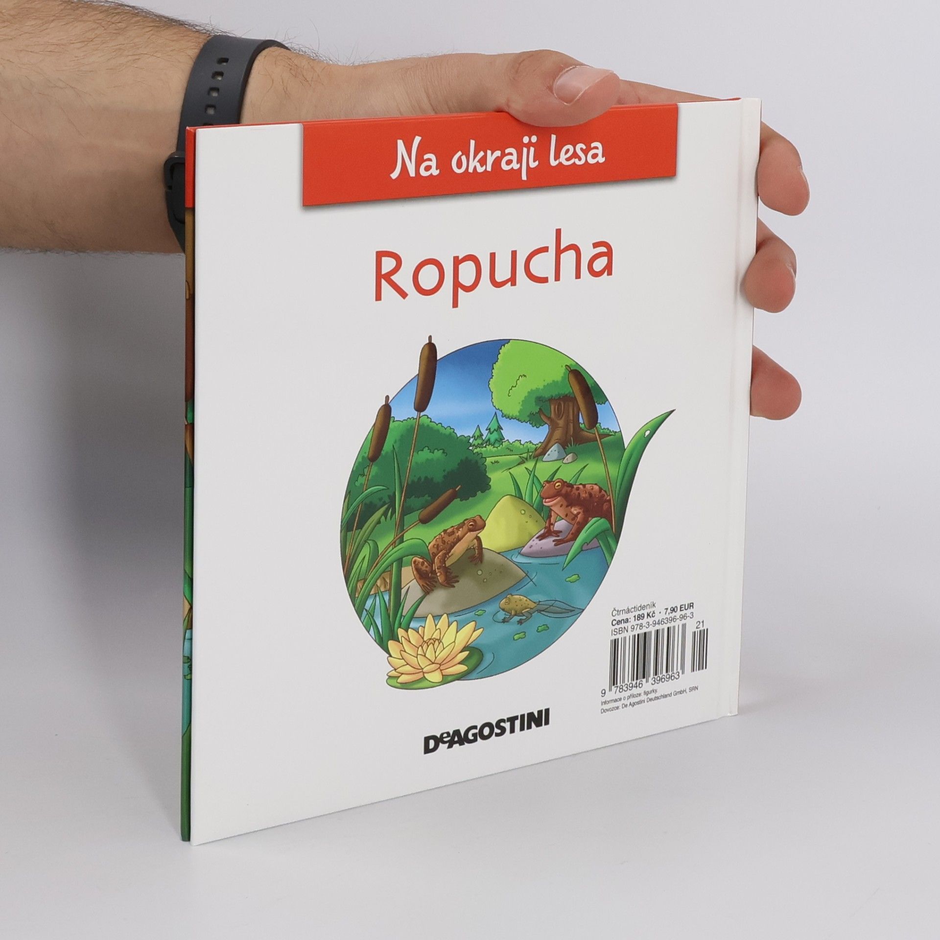 Autorenkollektiv Na okraji lesa 20. Ropucha