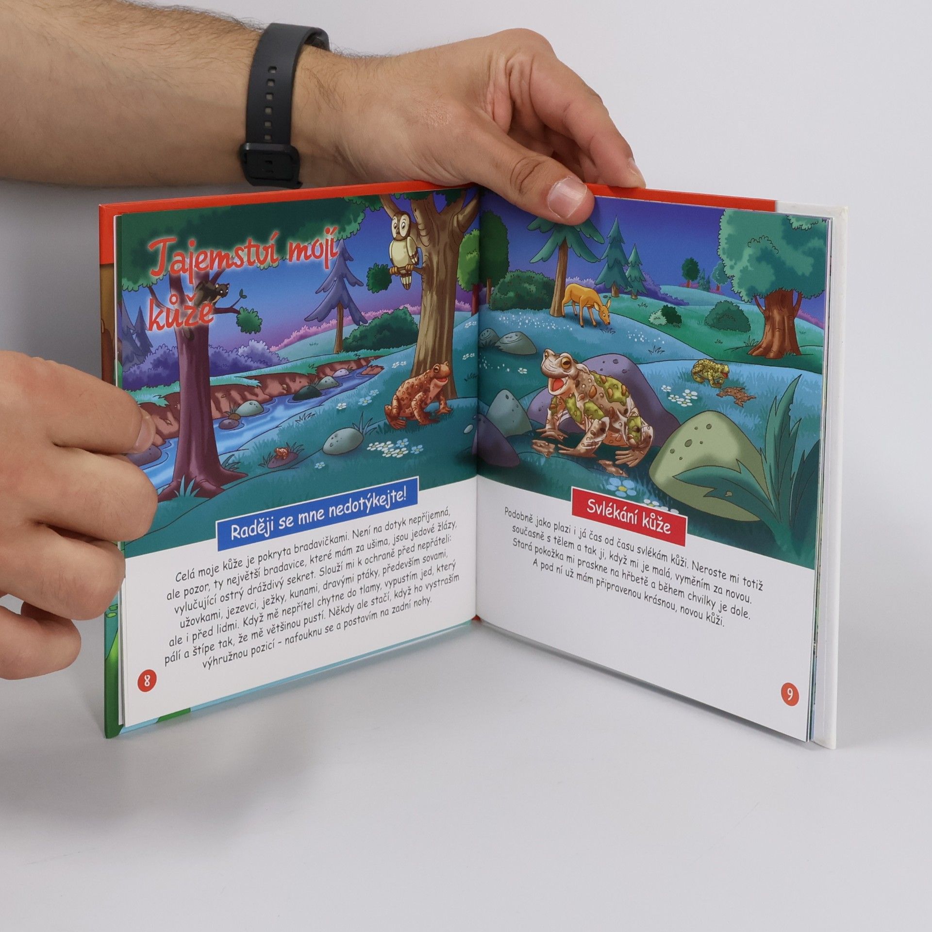 Autorenkollektiv Na okraji lesa 20. Ropucha