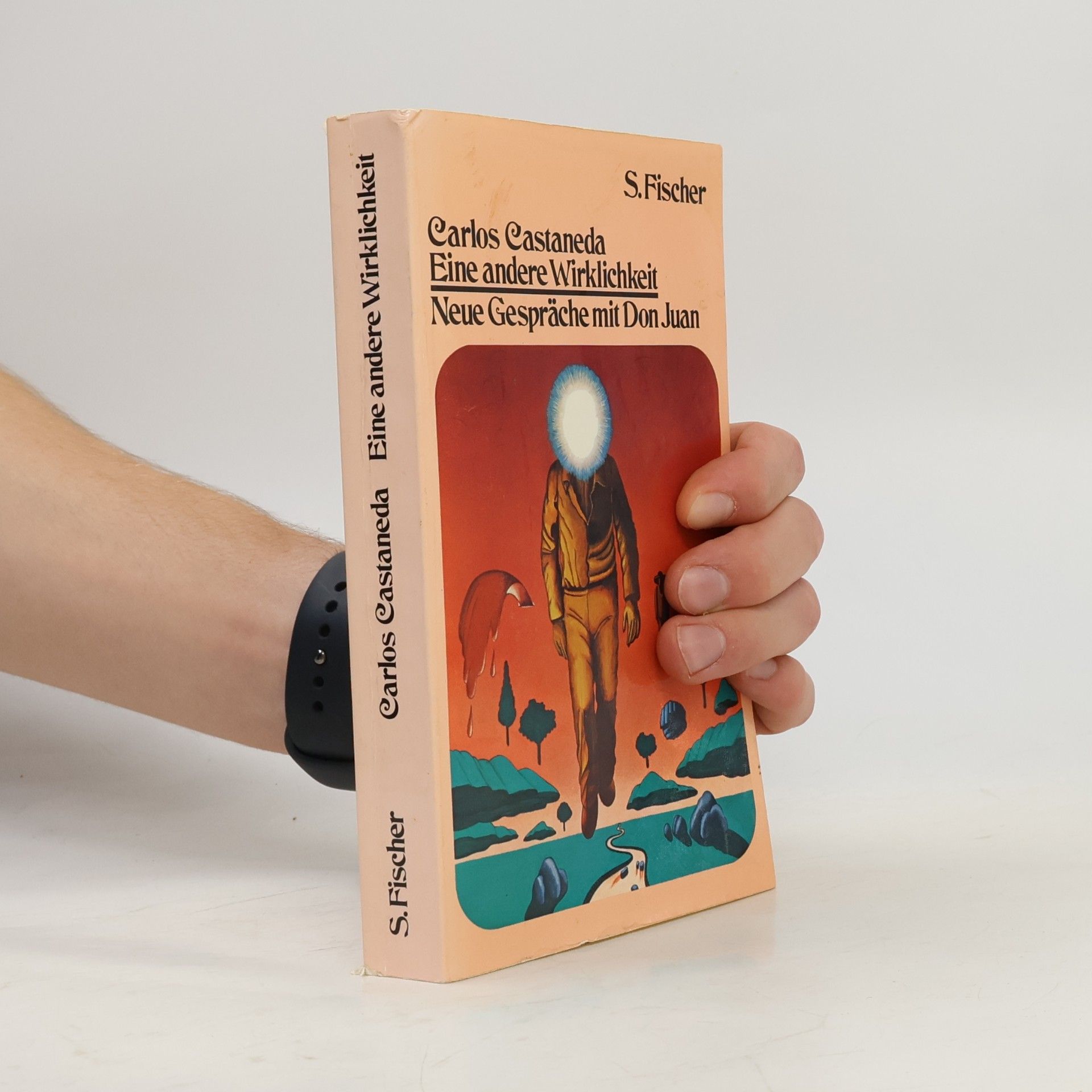Carlos Castaneda Eine andere Wirklichkeit