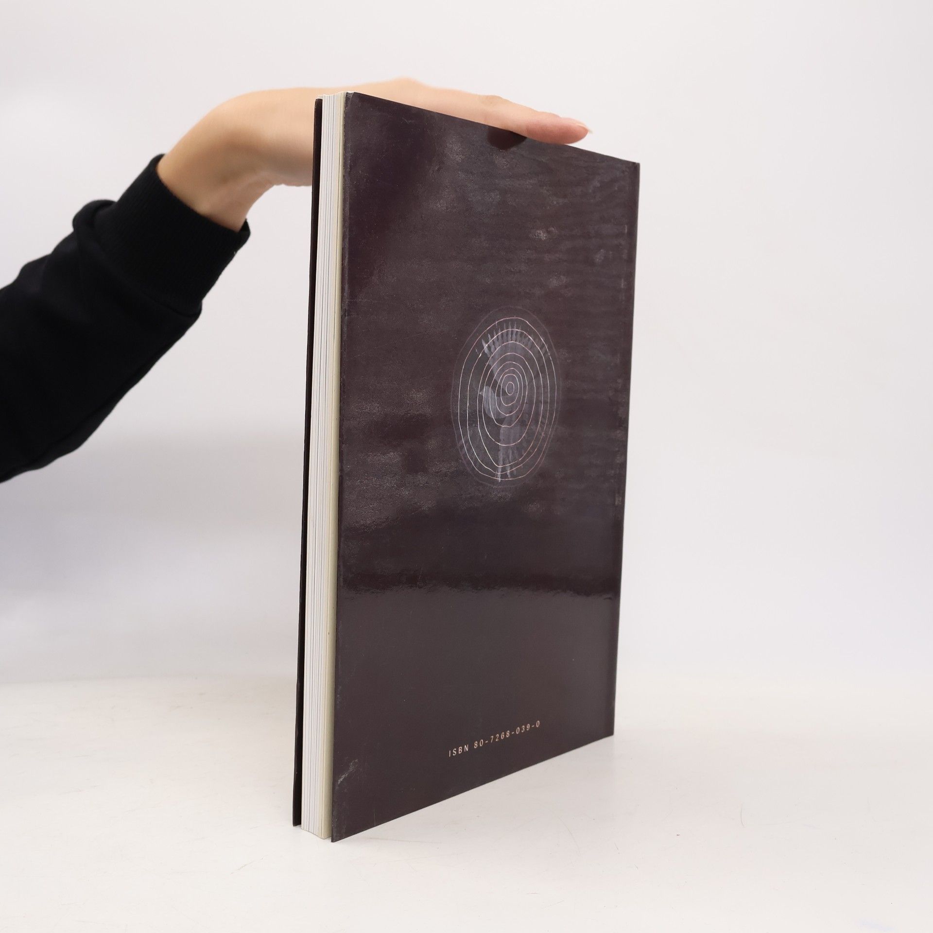Jan Rajlich Plakáty - grafika: Grafický dizajn