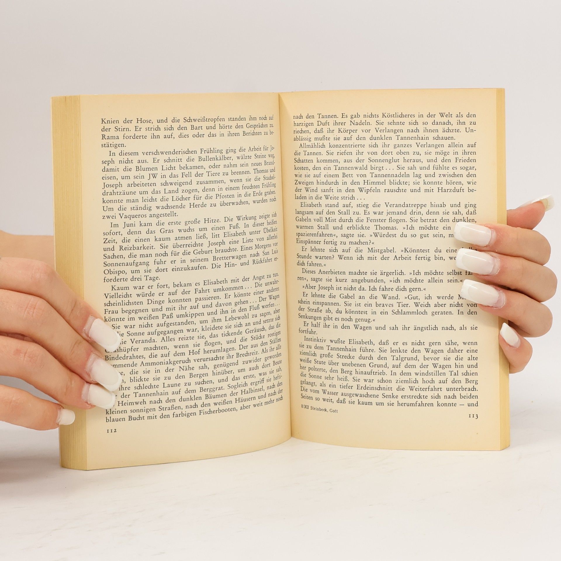 John Steinbeck Der Fremde Gott