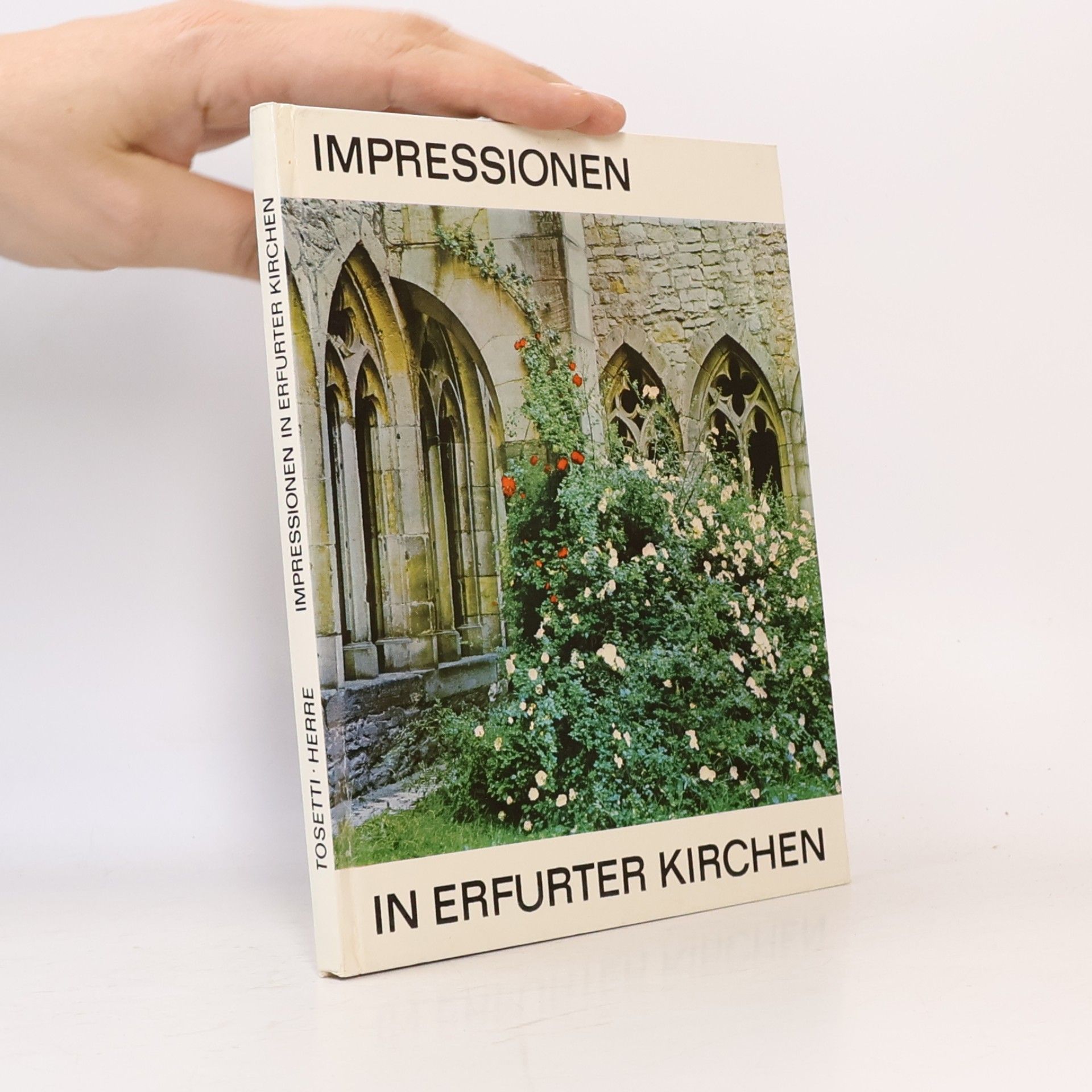 Marianne Tosetti Impressionen in Erfurter Kirchen