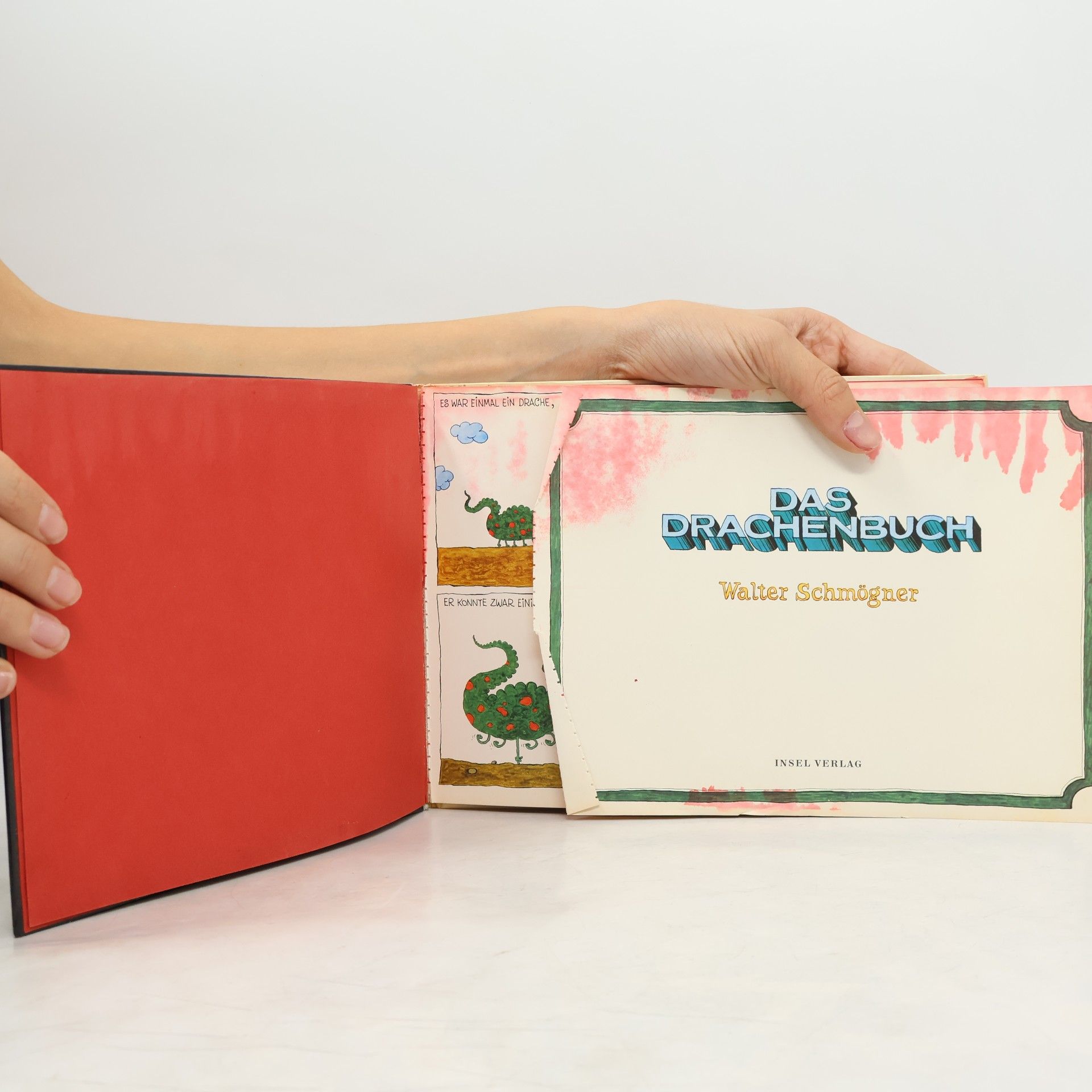 Walter Schmögner Das Drachenbuch