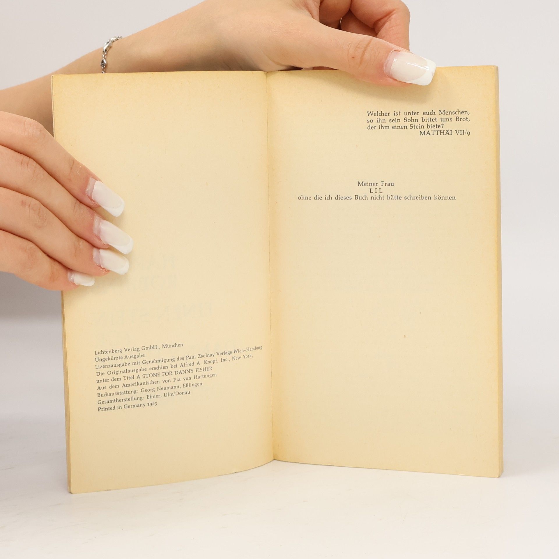 Harold Robbins Einen Stein für Danny Fisher