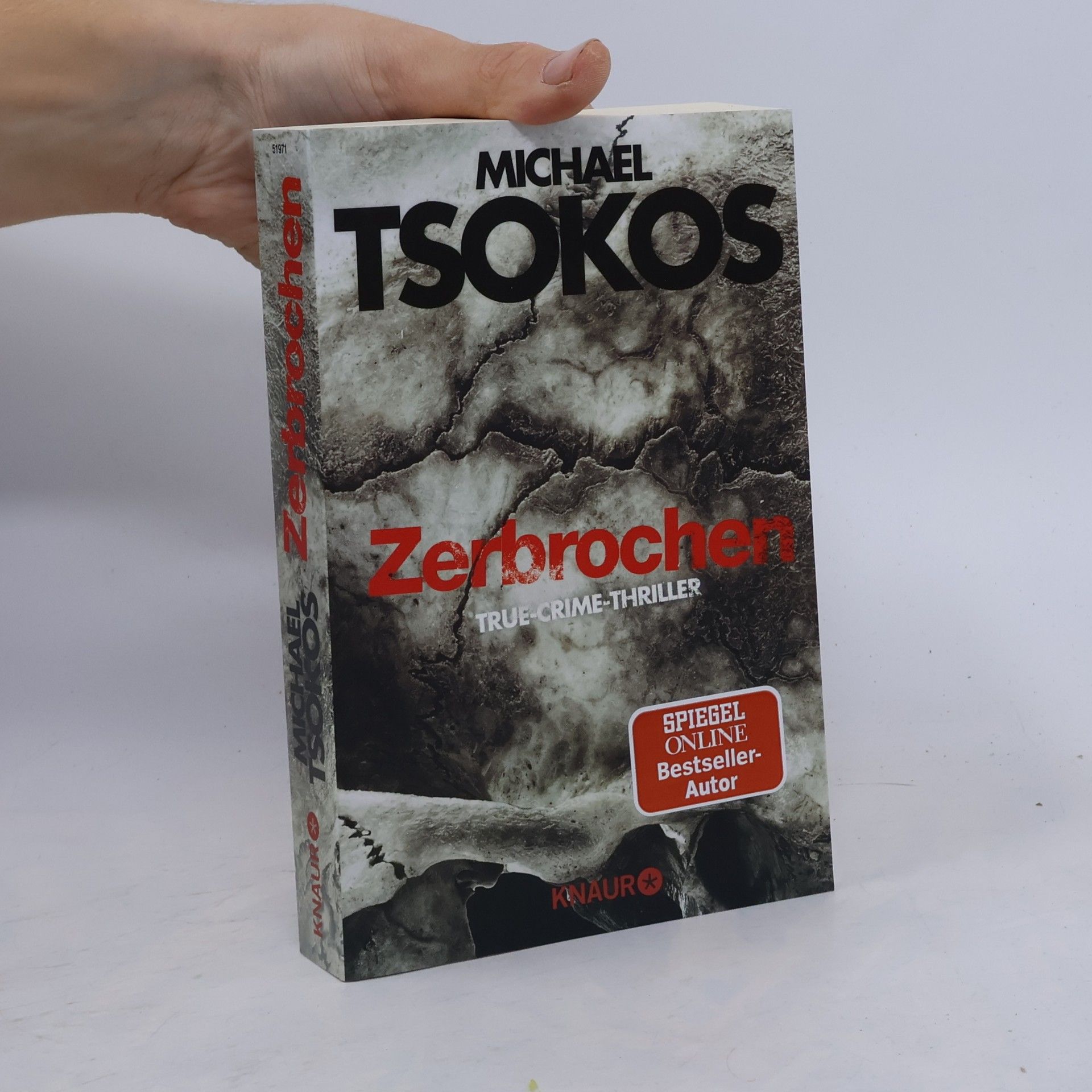 Michael Tsokos Zerbrochen