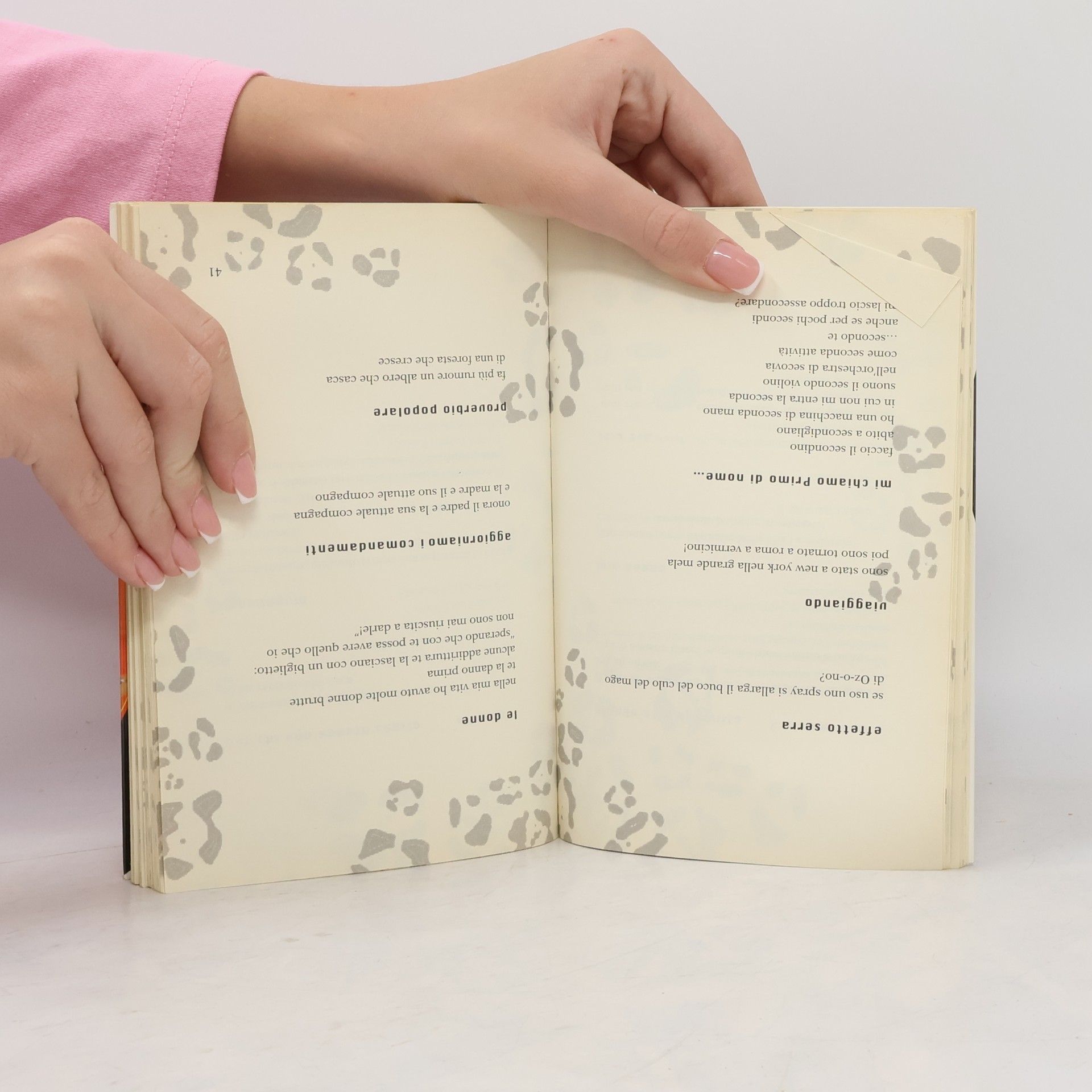 Autorenkollektiv Alice guarda i gatti e i gatti guardano le alici