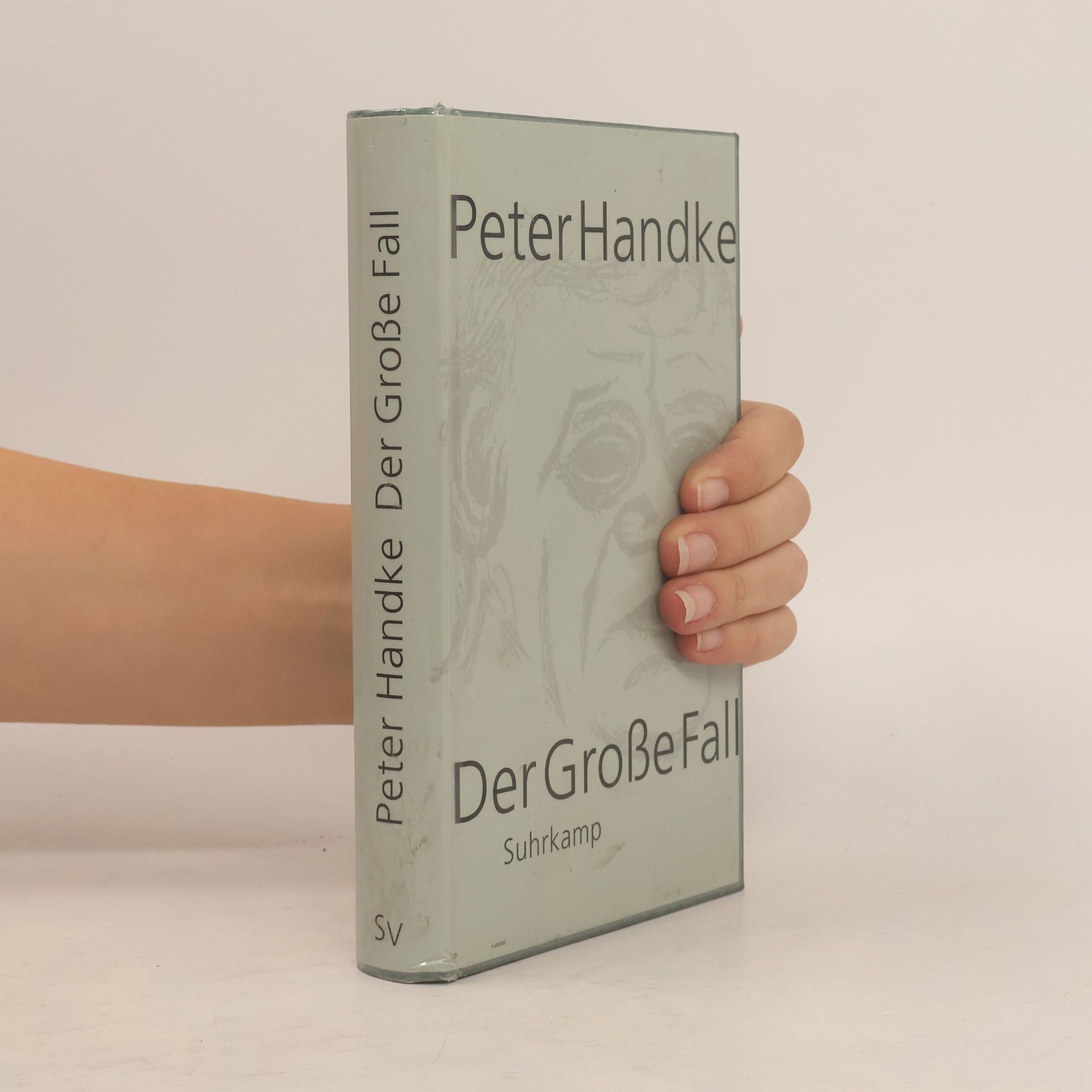 Peter Handke Der Grosse Fall