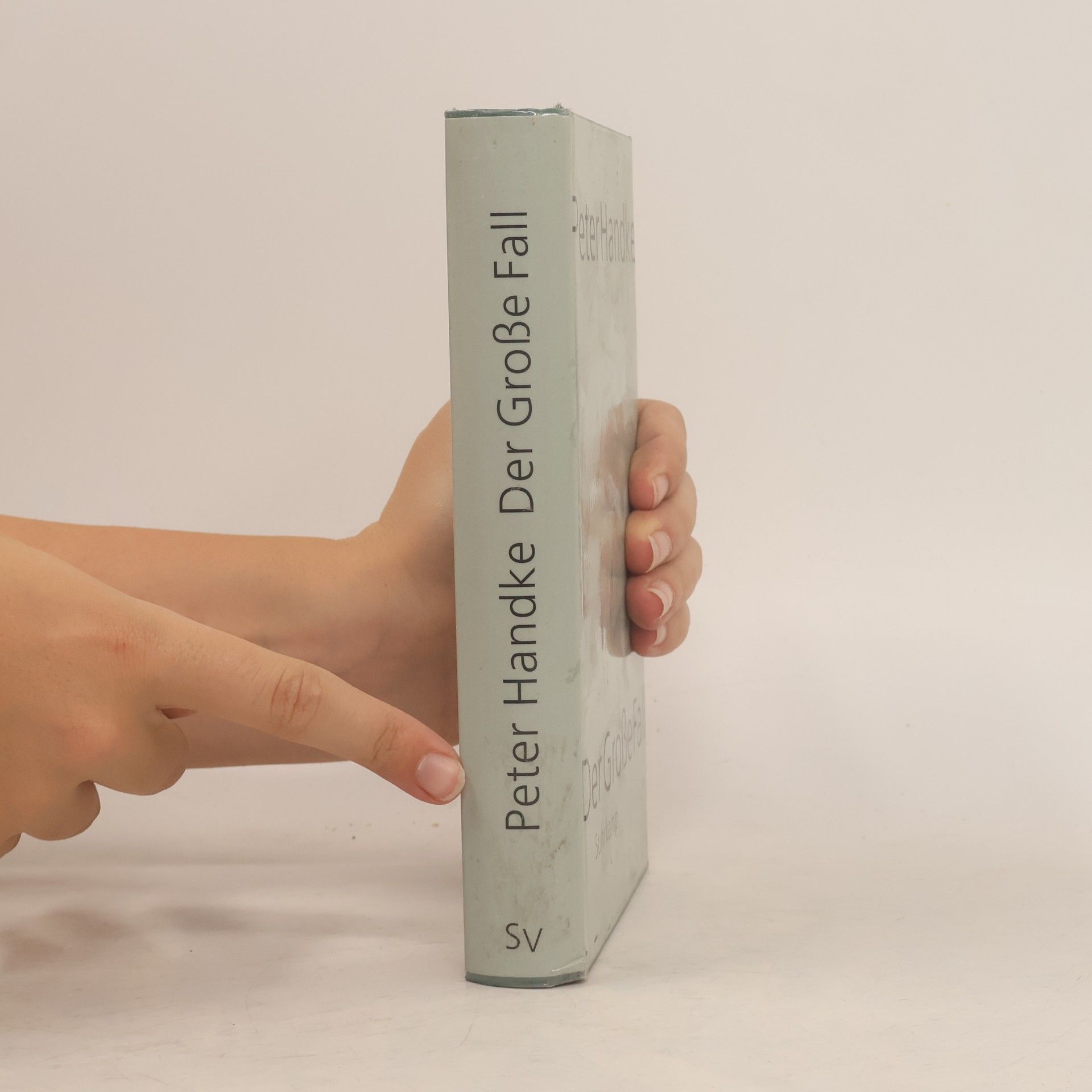 Peter Handke Der Grosse Fall