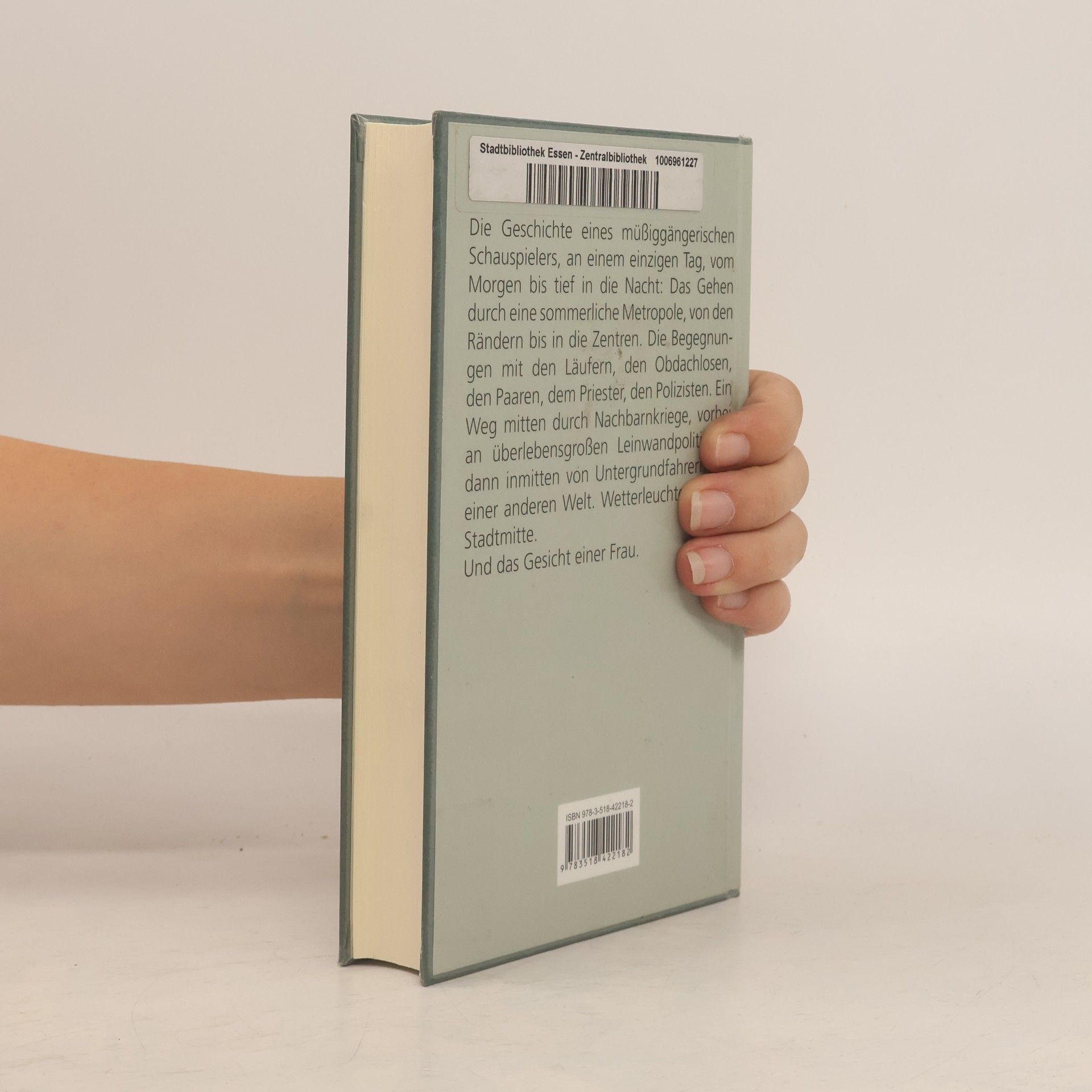 Peter Handke Der Grosse Fall