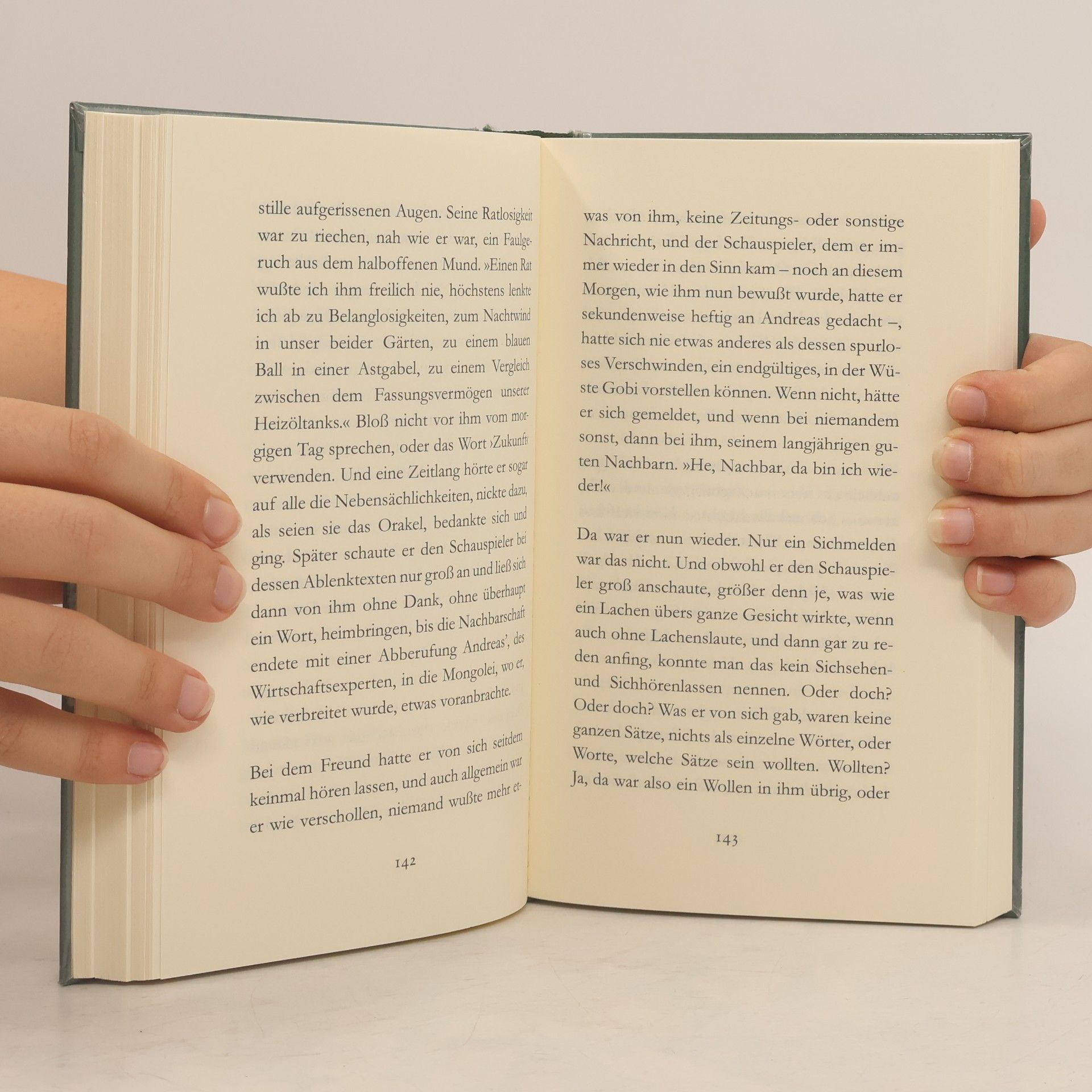 Peter Handke Der Grosse Fall