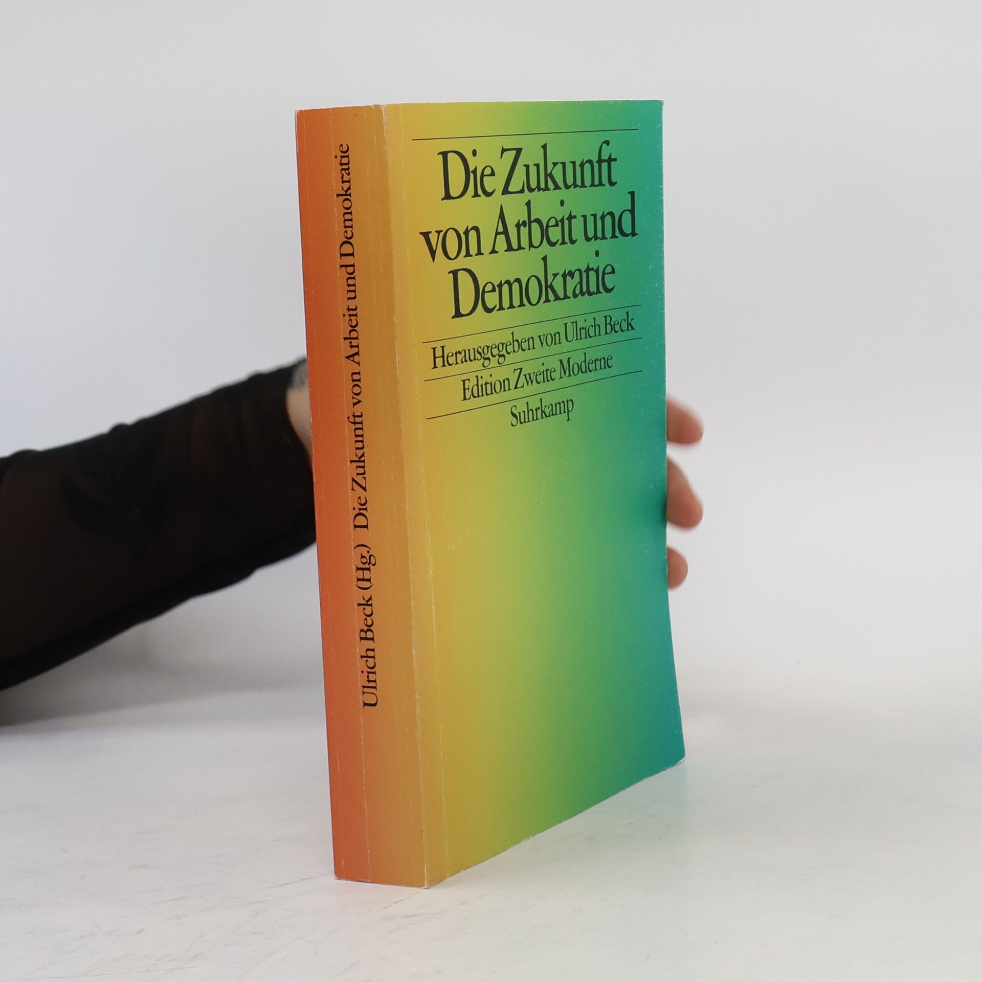 Ulrich Beck Die Zukunft von Arbeit und Demokratie
