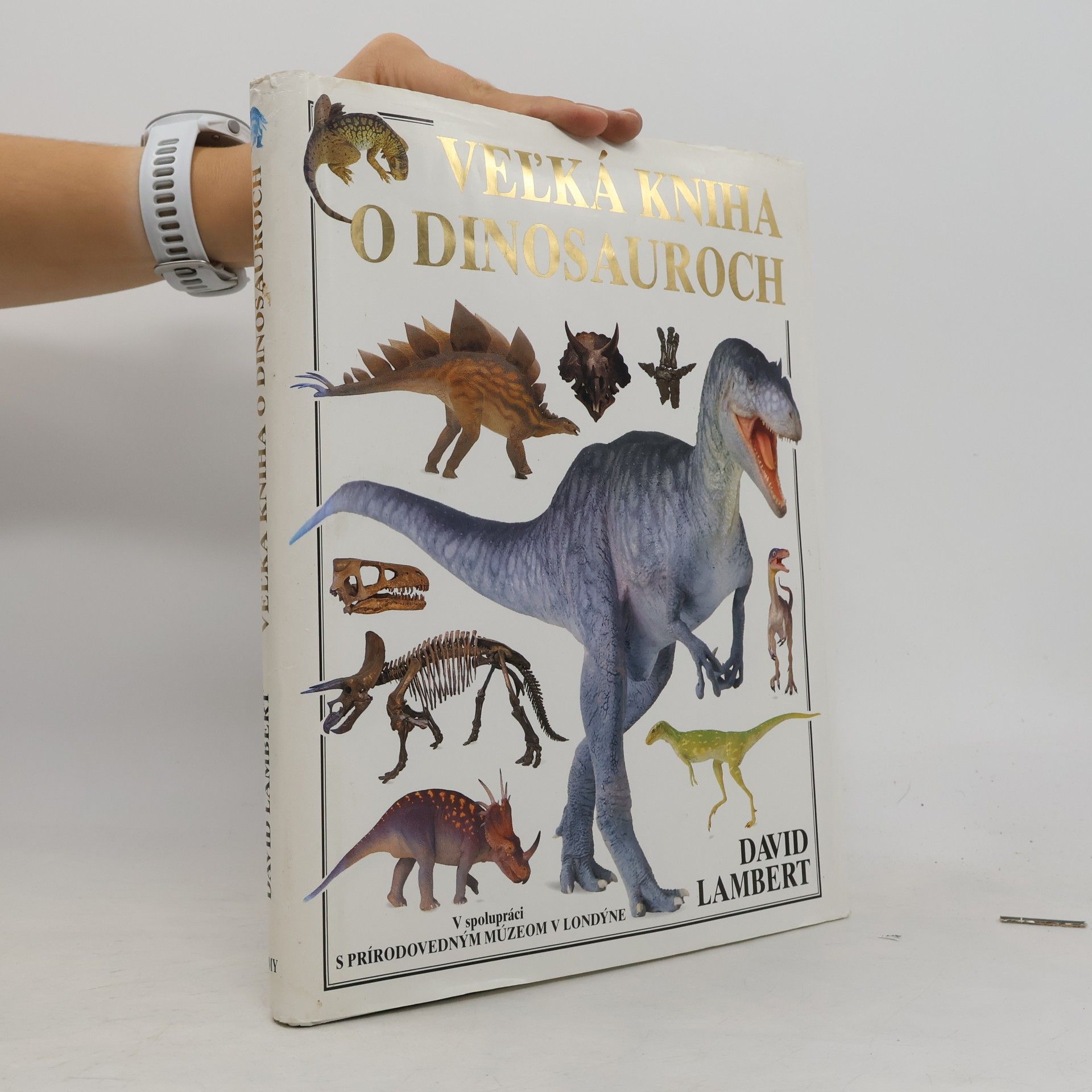 David Lambert Veľká kniha o dinosauroch