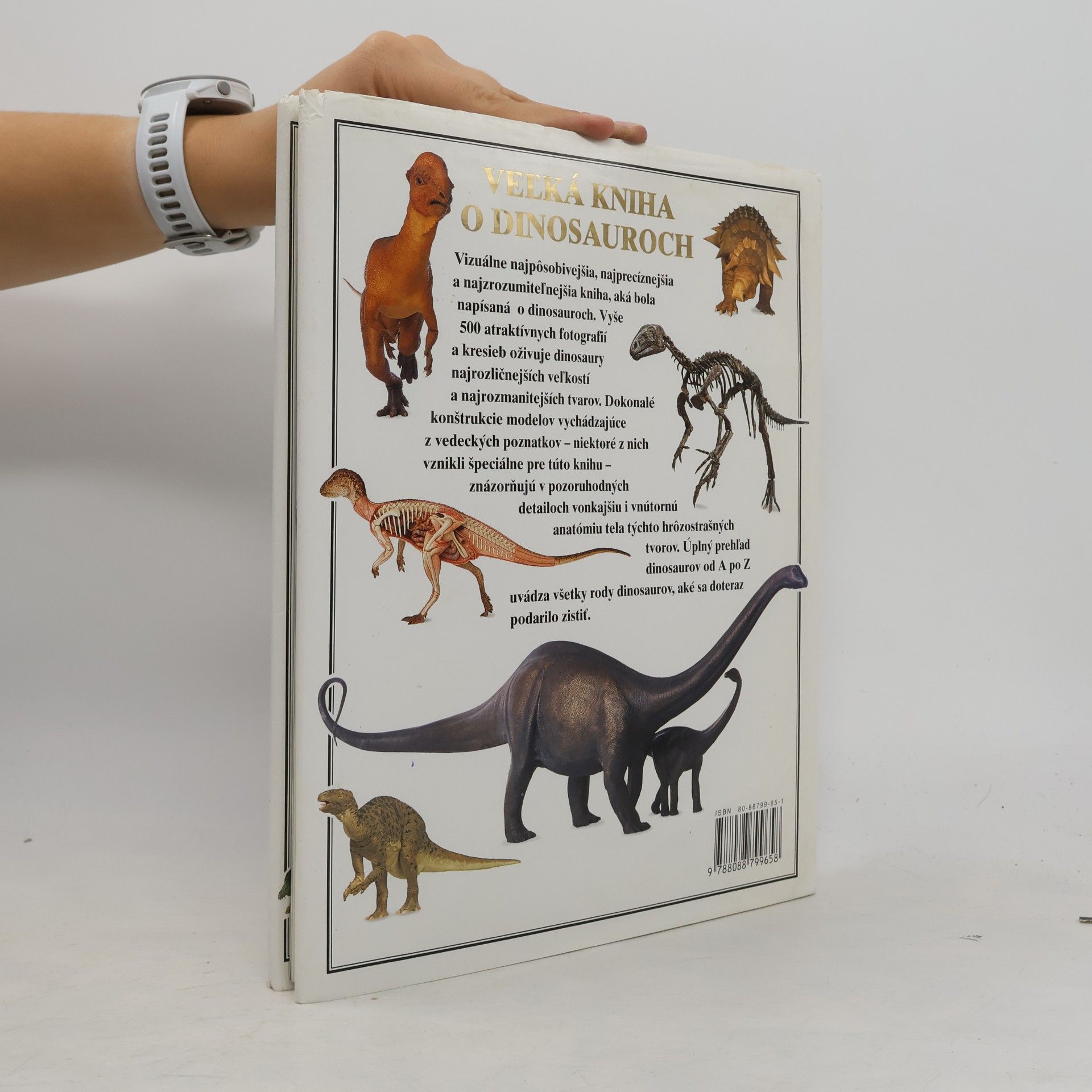 David Lambert Veľká kniha o dinosauroch