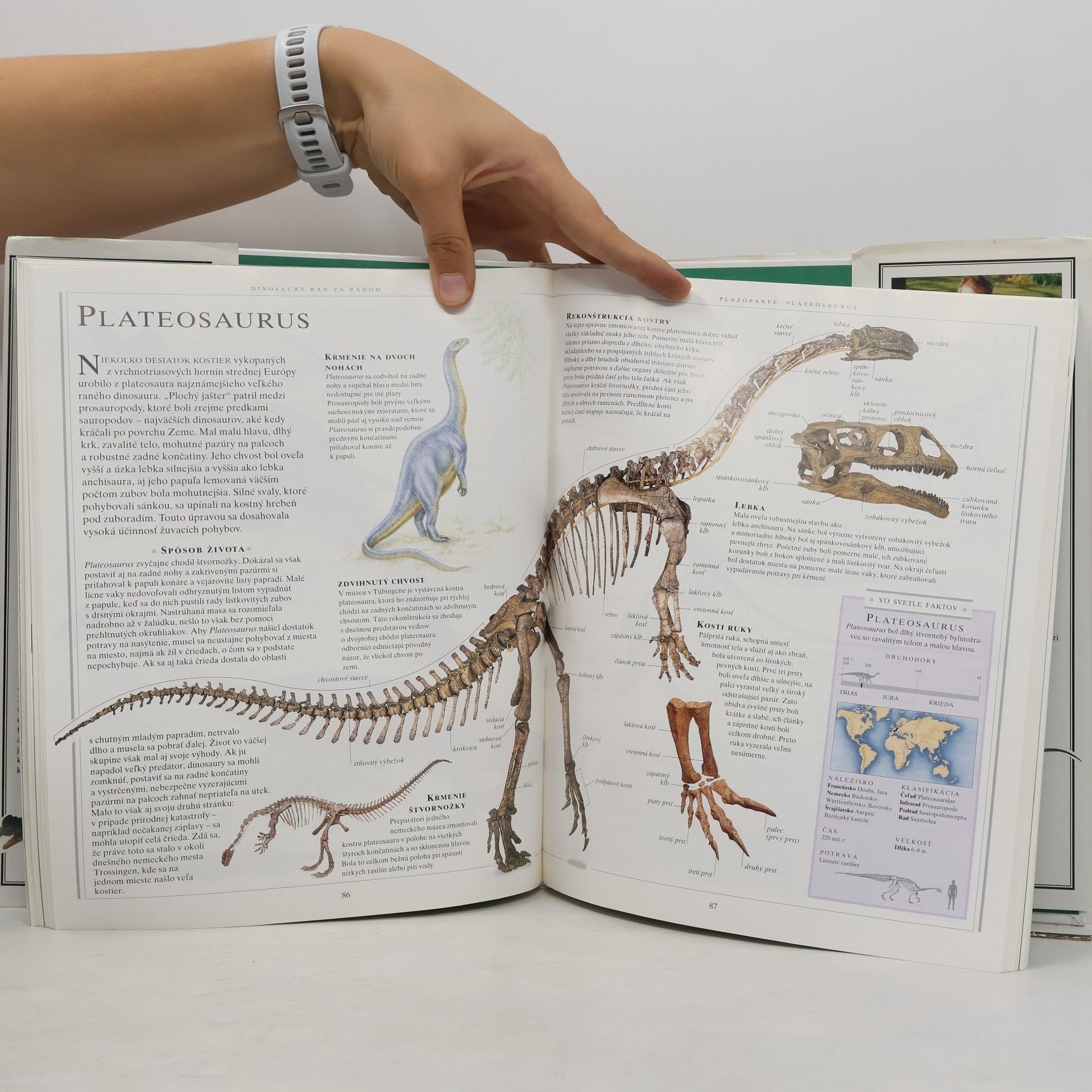 David Lambert Veľká kniha o dinosauroch