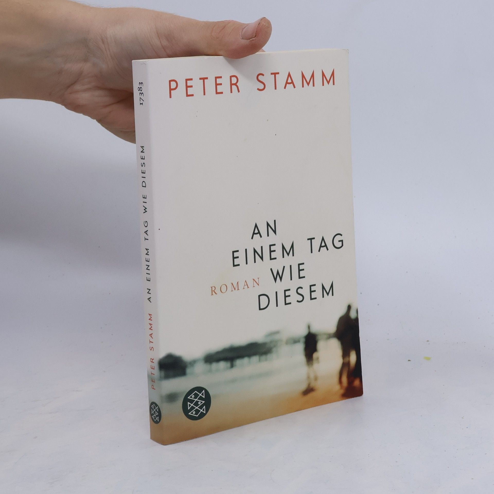 Peter Stamm An einem Tag wie diesem