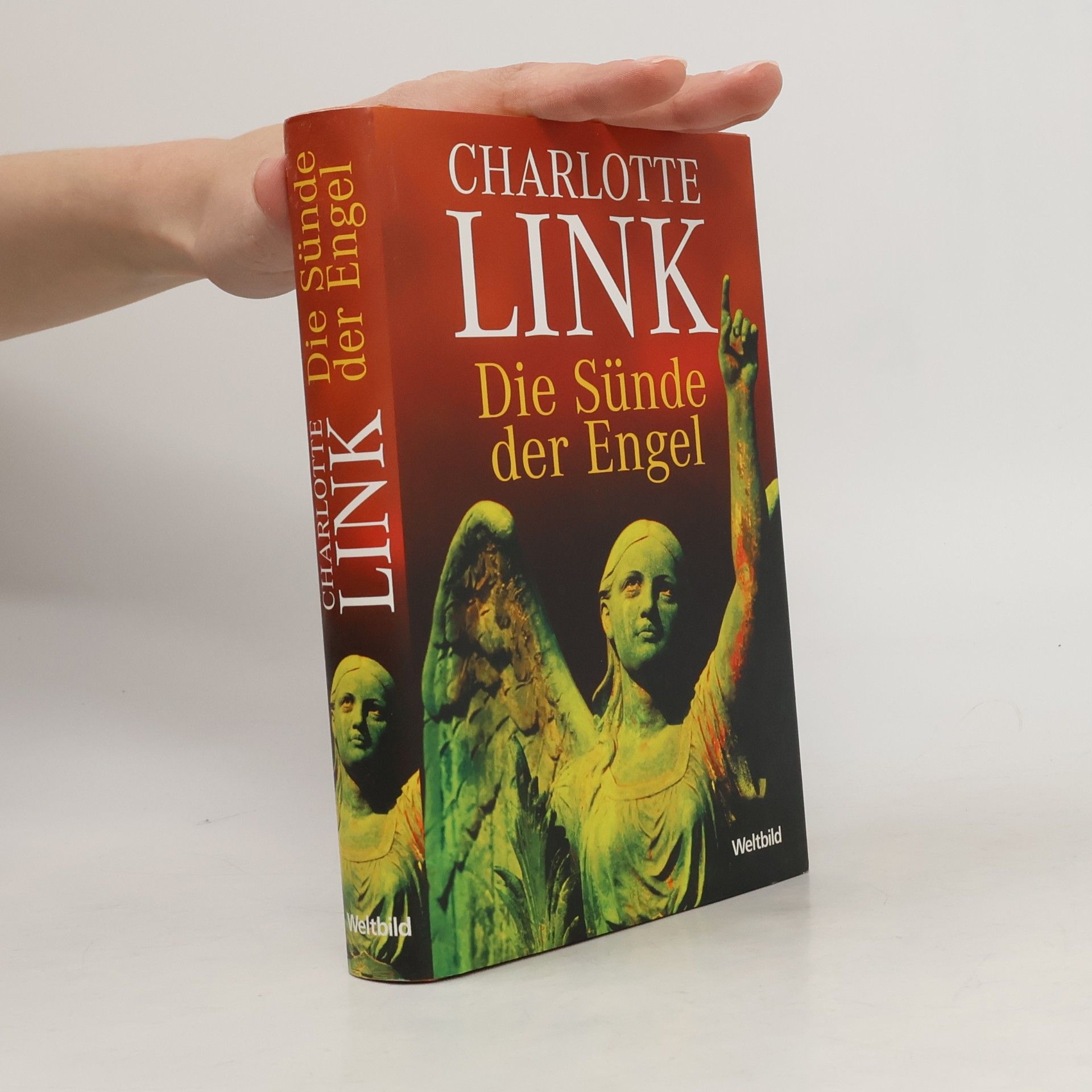 Charlotte Link Die Sünde der Engel