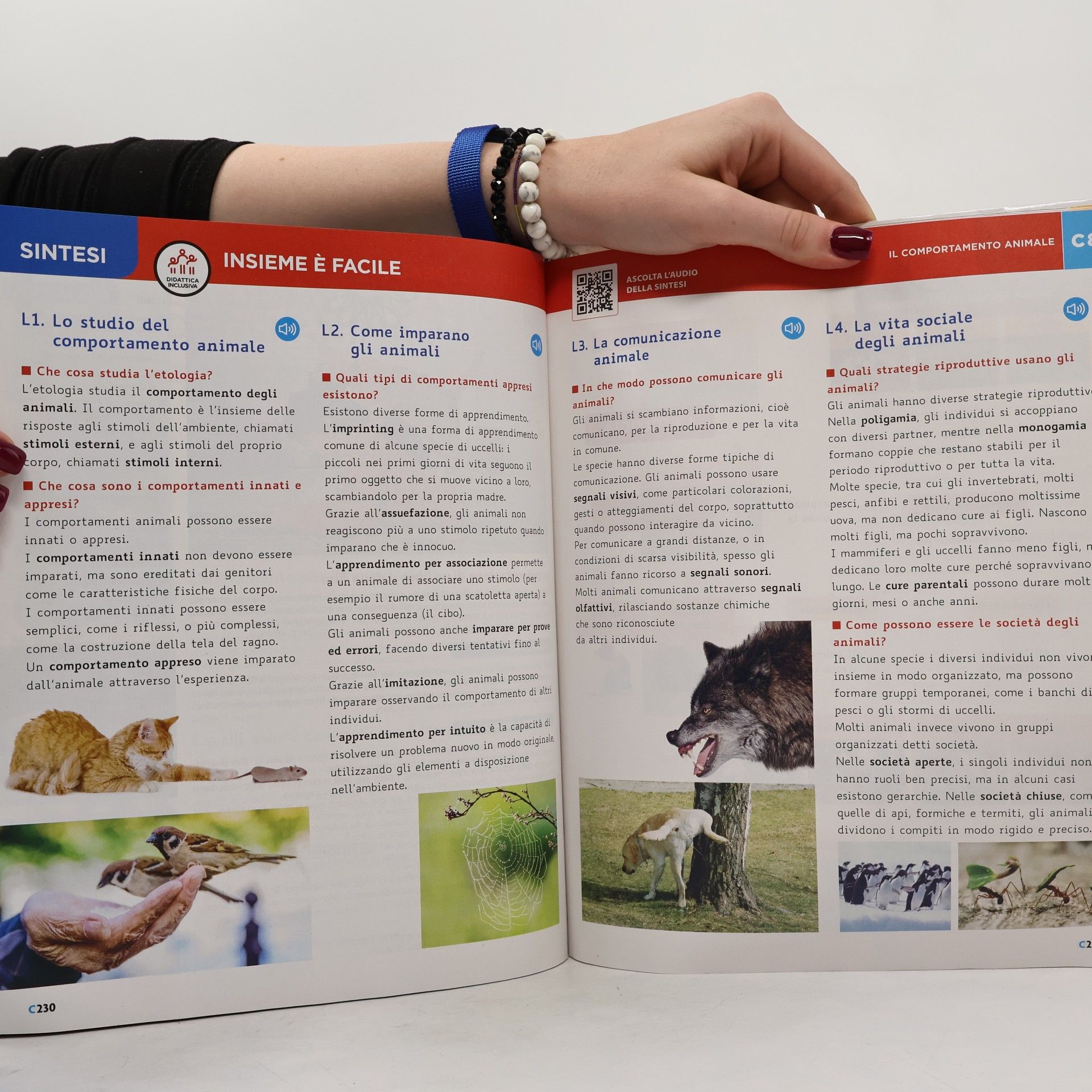 Various authors Intorno a te 2