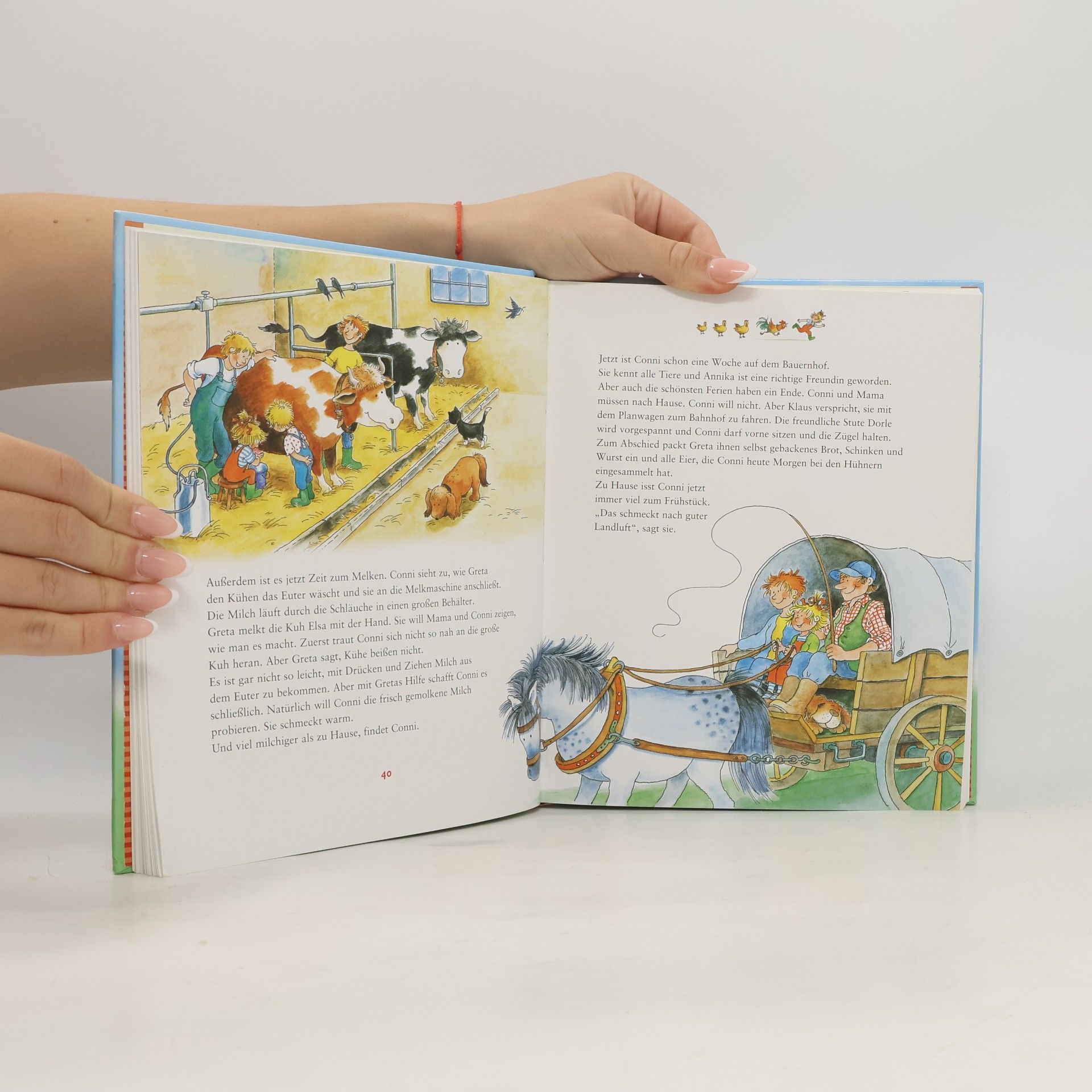 Lianne Schneider Das große Conni-Buch