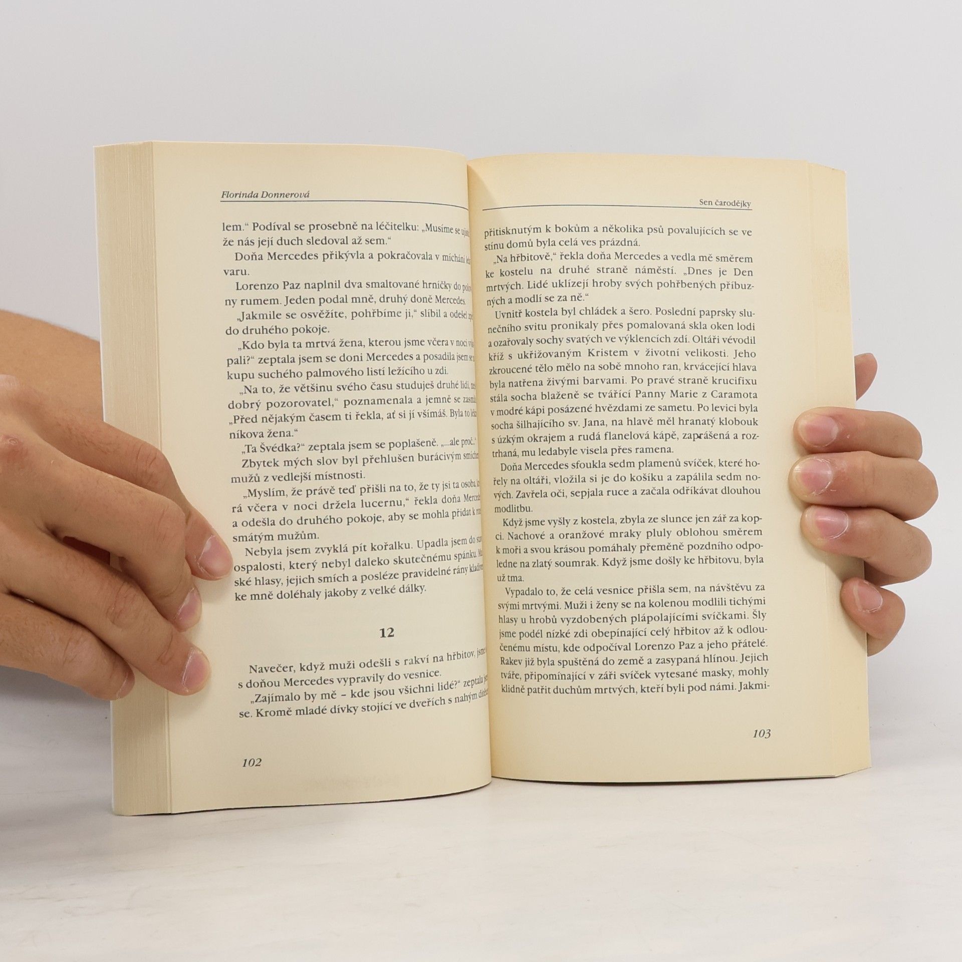 Florinda Donner Sen čarodějky
