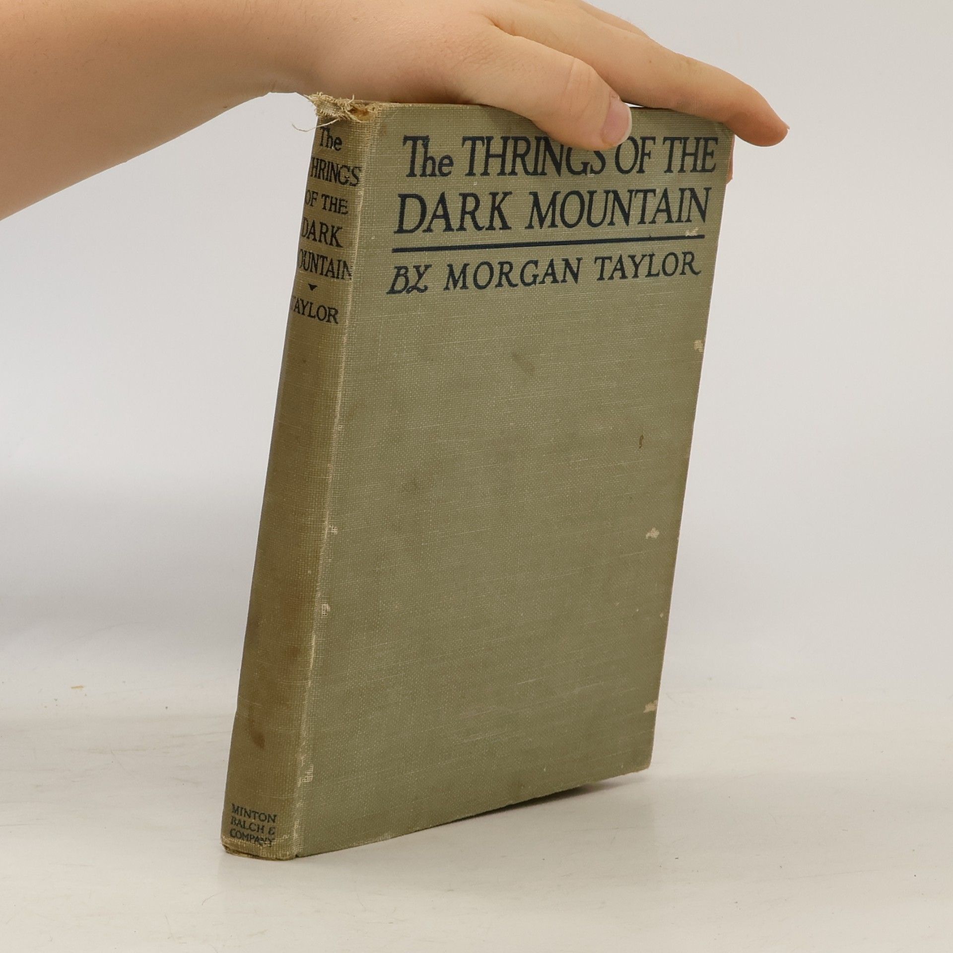 Morgan Taylor The Thrings of the Dark Mountain