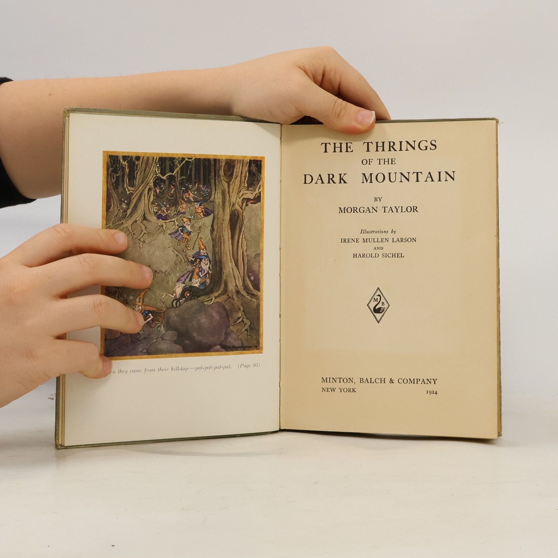 Morgan Taylor The Thrings of the Dark Mountain