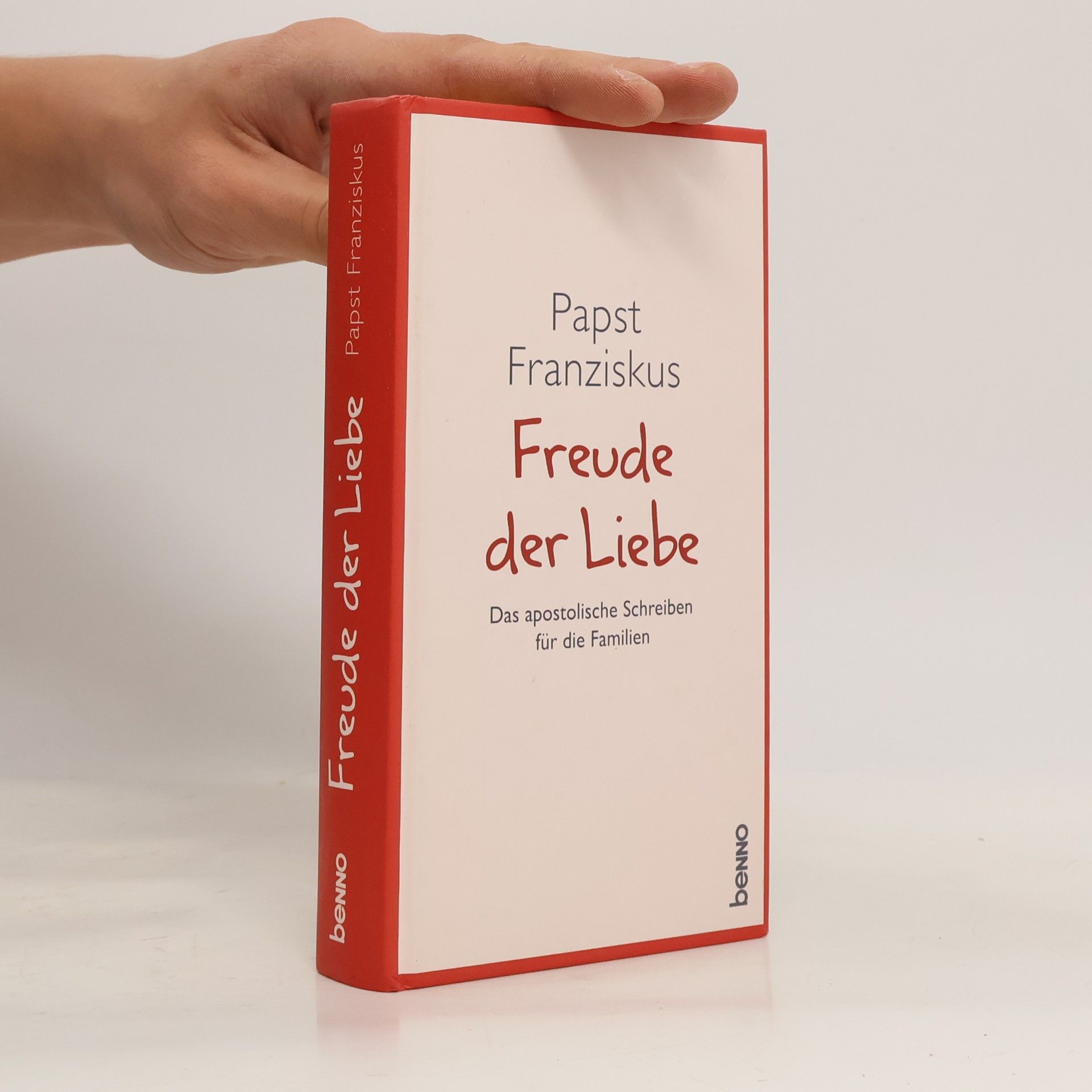 Pope Francis Freude der Liebe