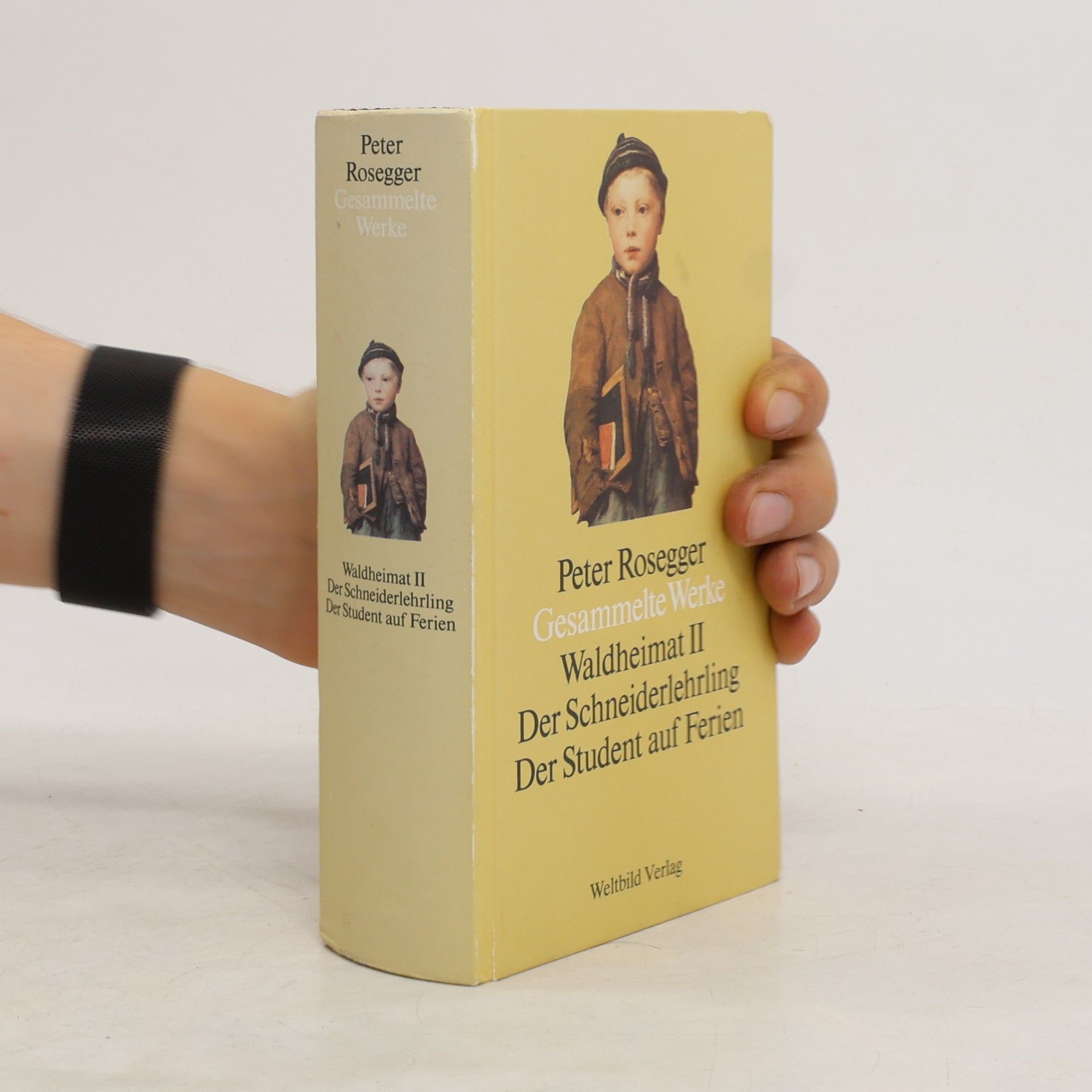 Peter Rosegger Gesammelte Werke. Waldheimat II Der Schneiderlehrling Der Student auf Ferien