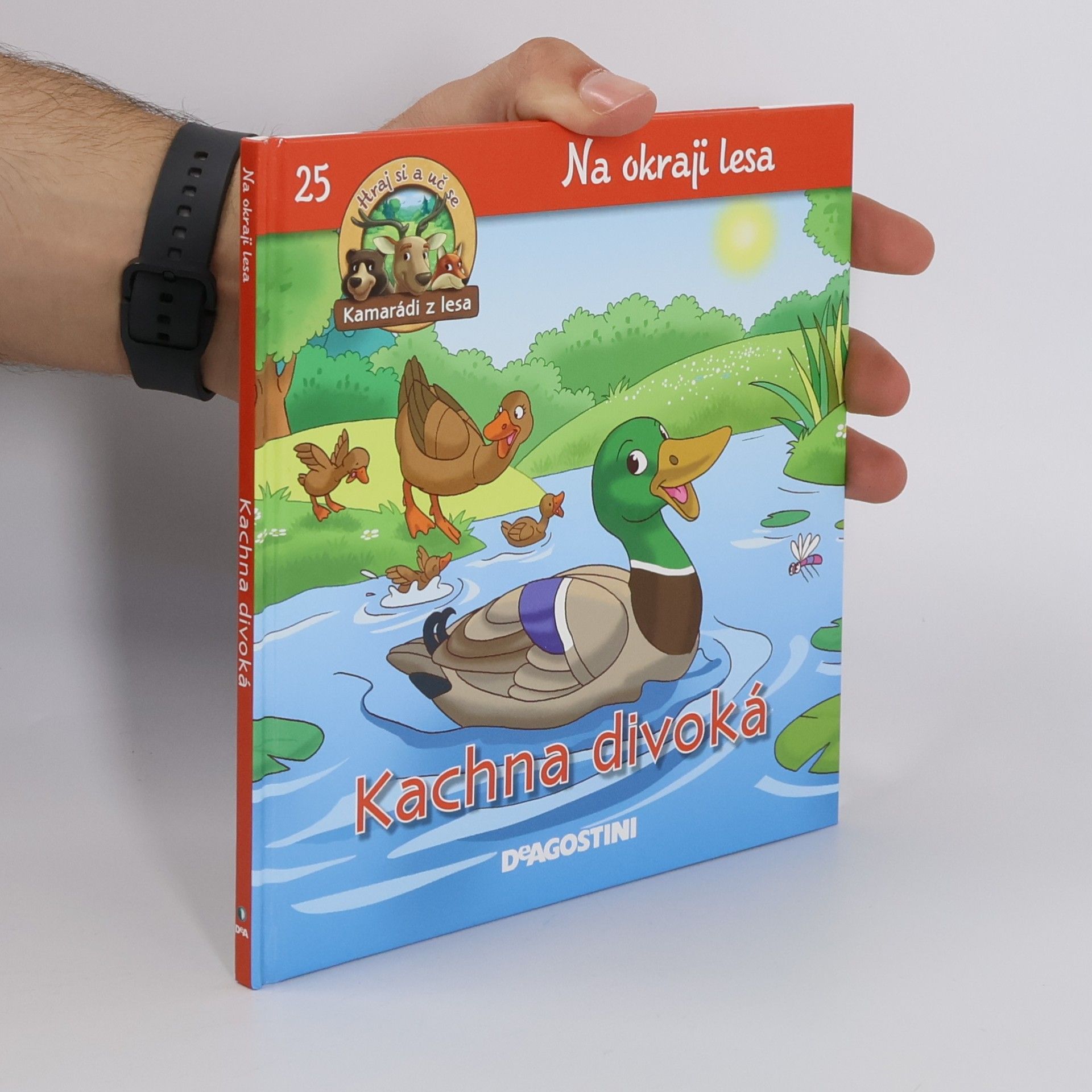 Kolektiv autorů Na okraji lesa 25. Kachna divoká