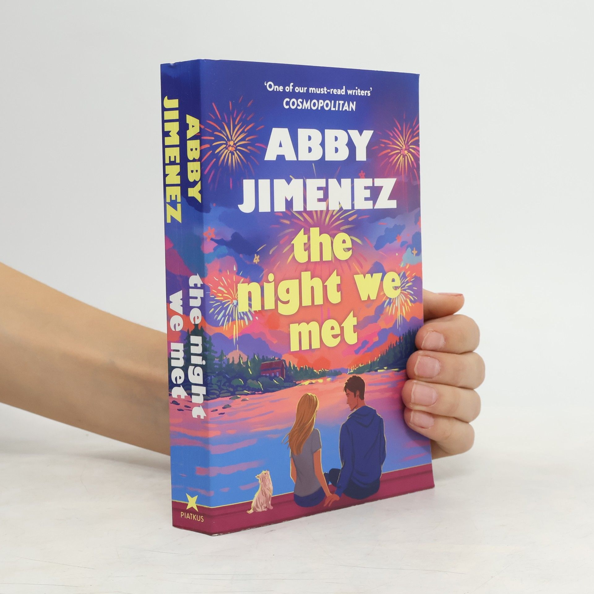 The Night We Met
