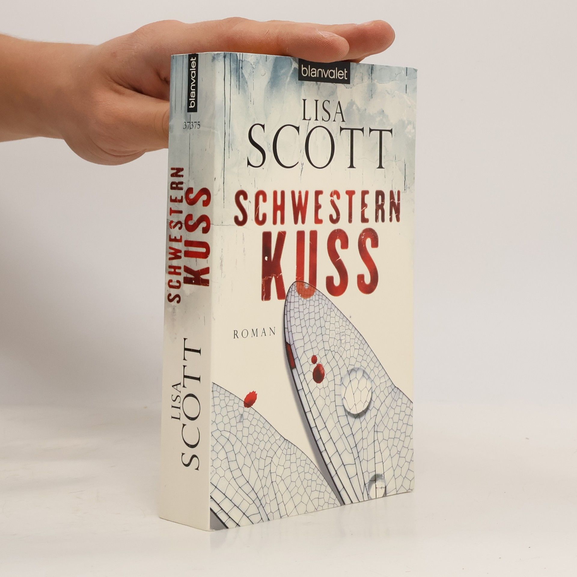 Harlan Coben Schwesternkuss