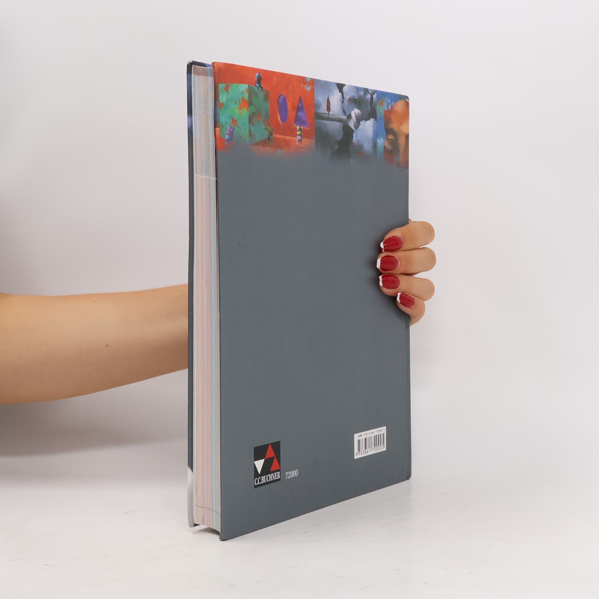 Kolektiv autorů Buchners Kompendium Politik