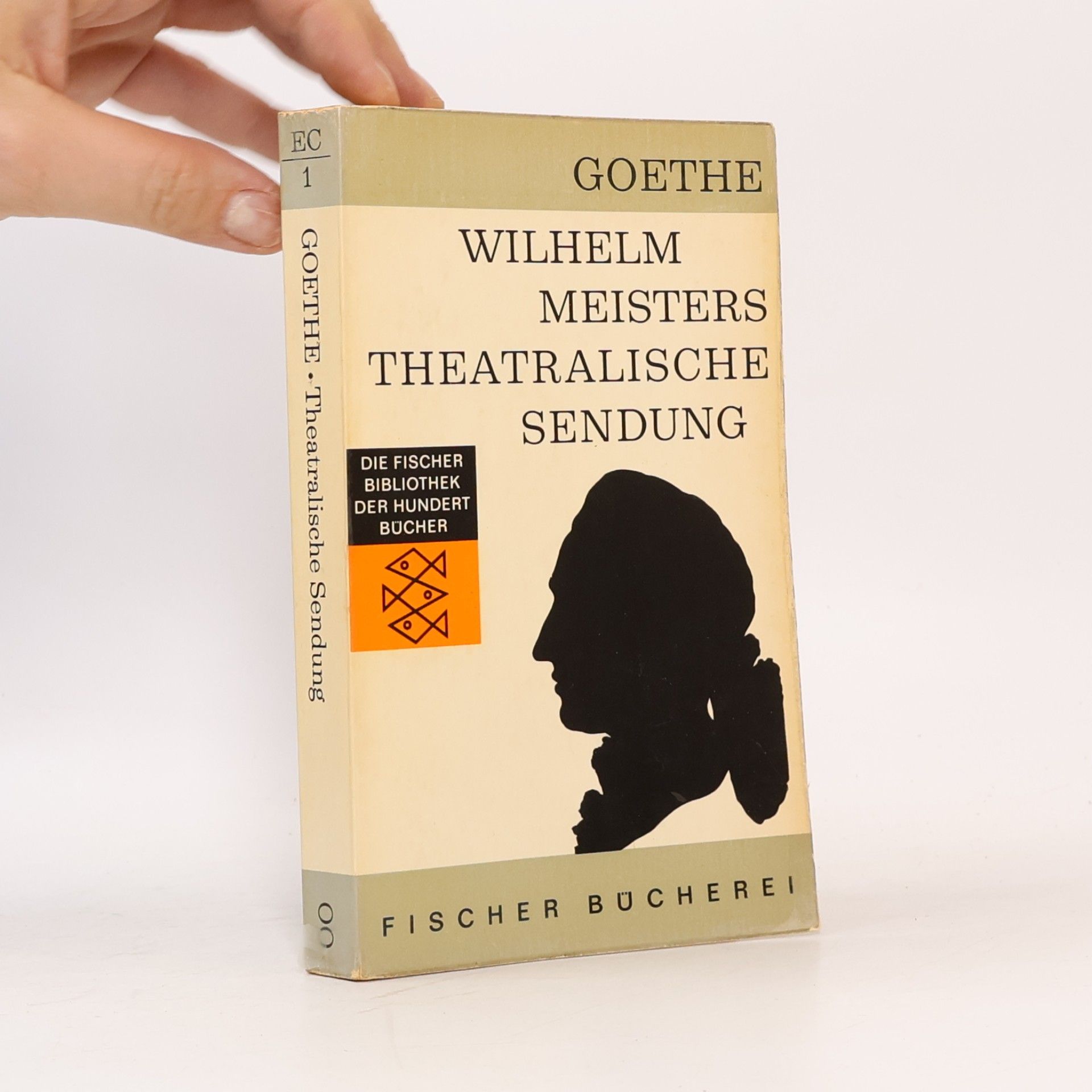 Johann Wolfgang von Goethe Wilhelm Meisters Theatralische Sendung