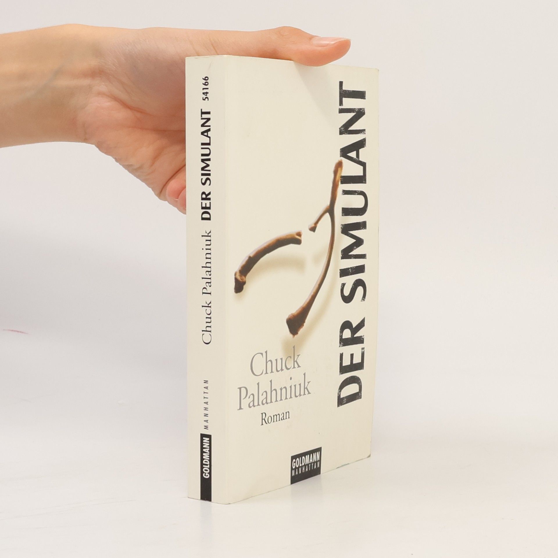 Chuck Palahniuk Der Simulant