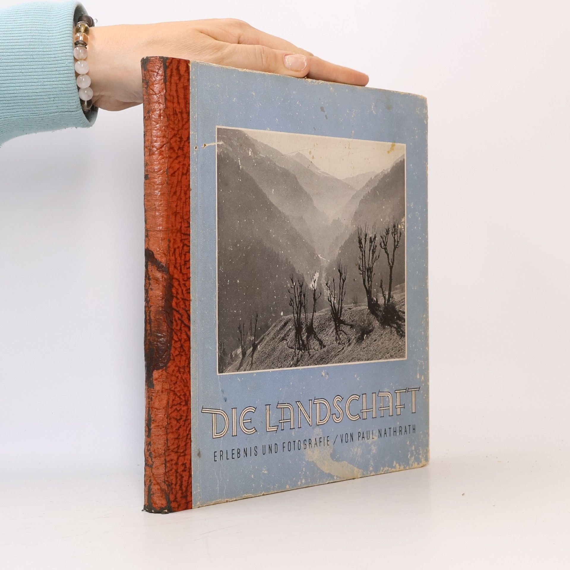 Paul Nathrath Die Landschaft