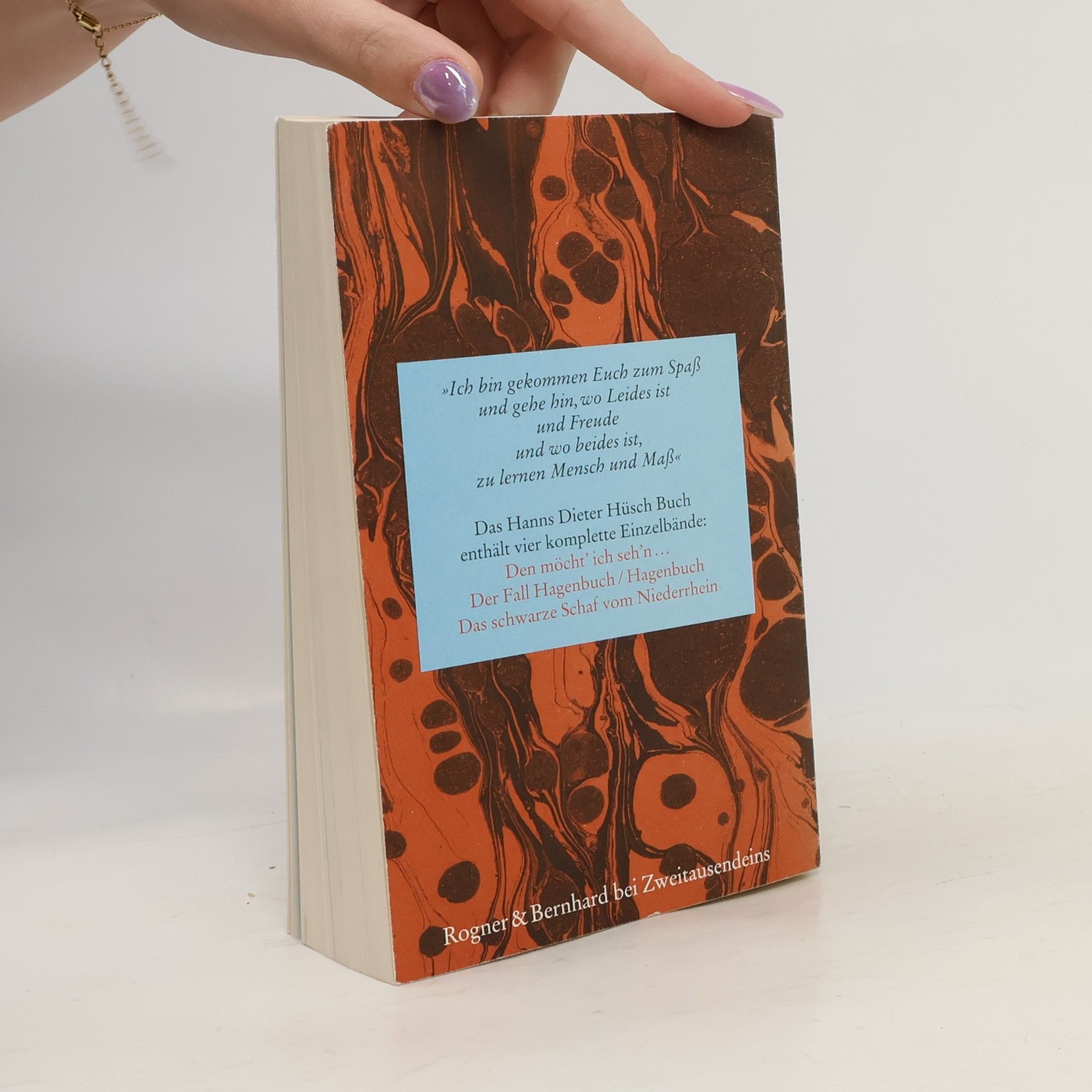 Hanns Hüsch Das Hanns Dieter Hüsch Buch