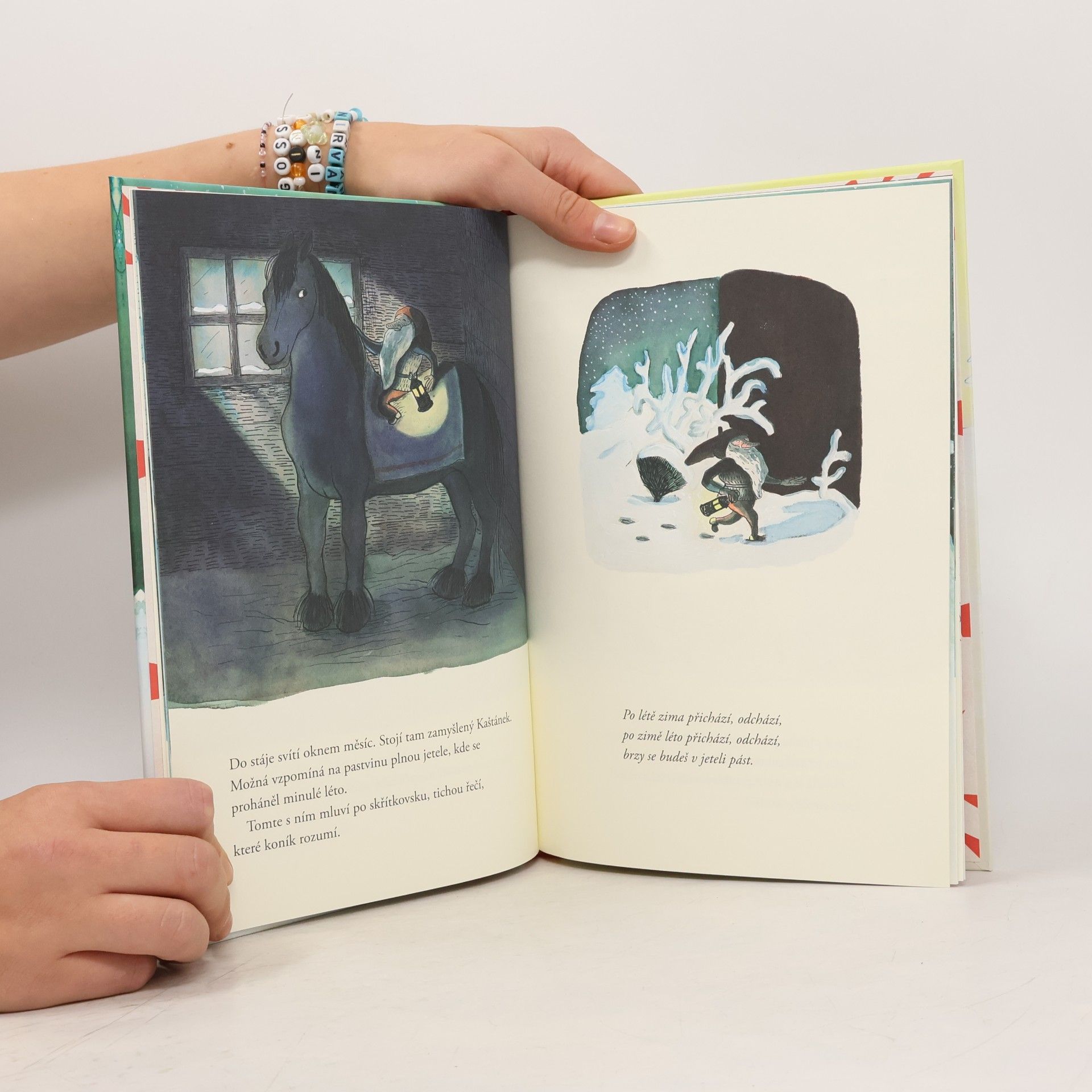 Astrid Lindgren Skřítek je vzhůru