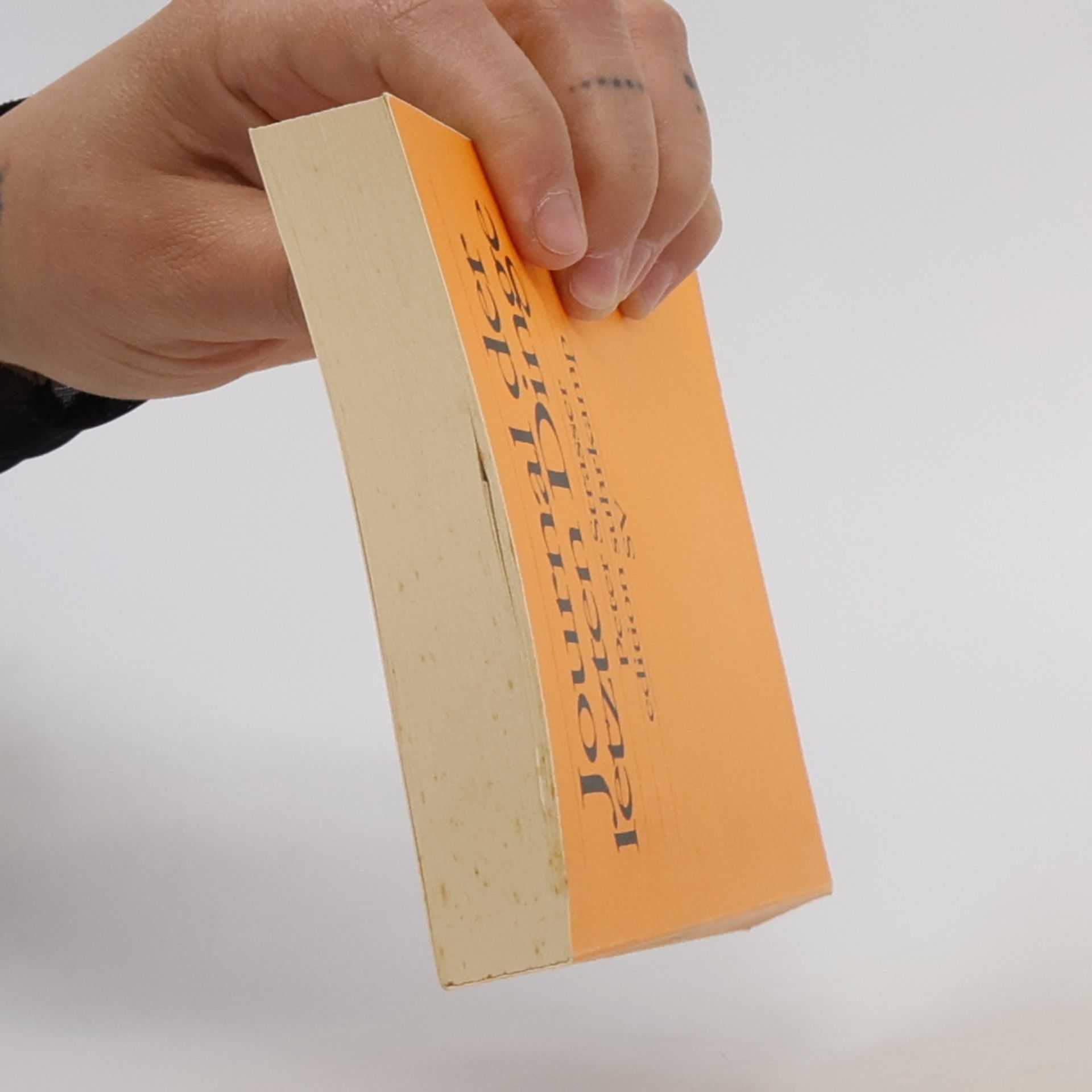 Peter Strasser Journal der letzten Dinge