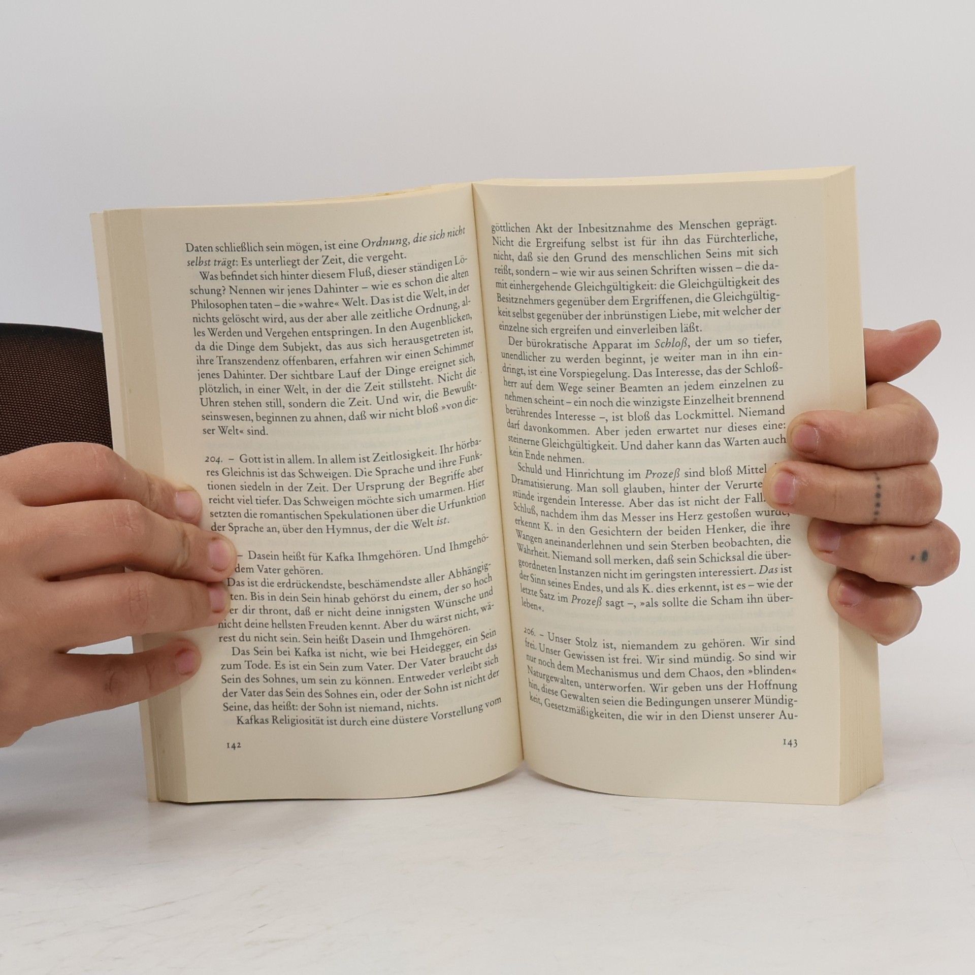 Peter Strasser Journal der letzten Dinge