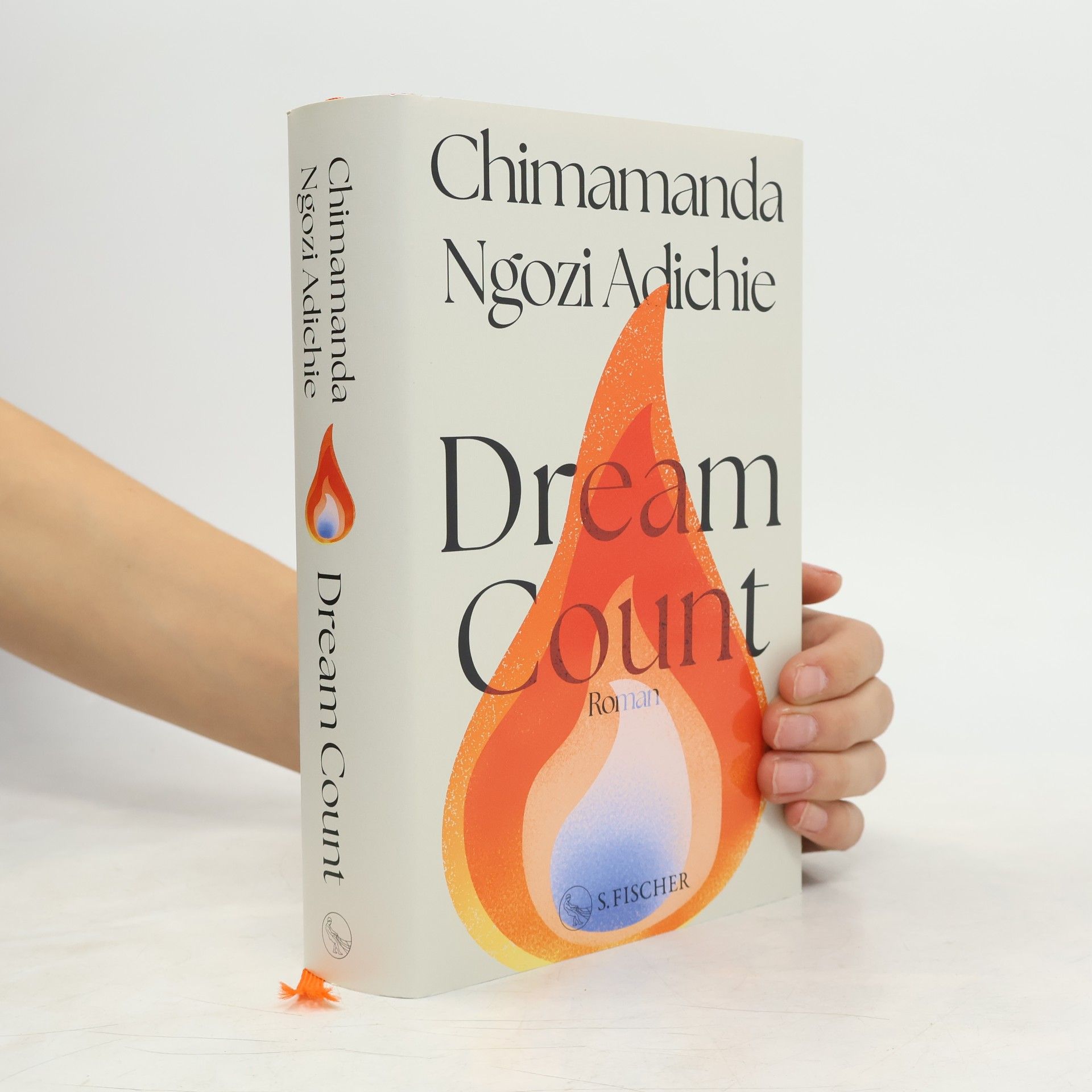 Chimamanda Ngozi Adichie Dream Count