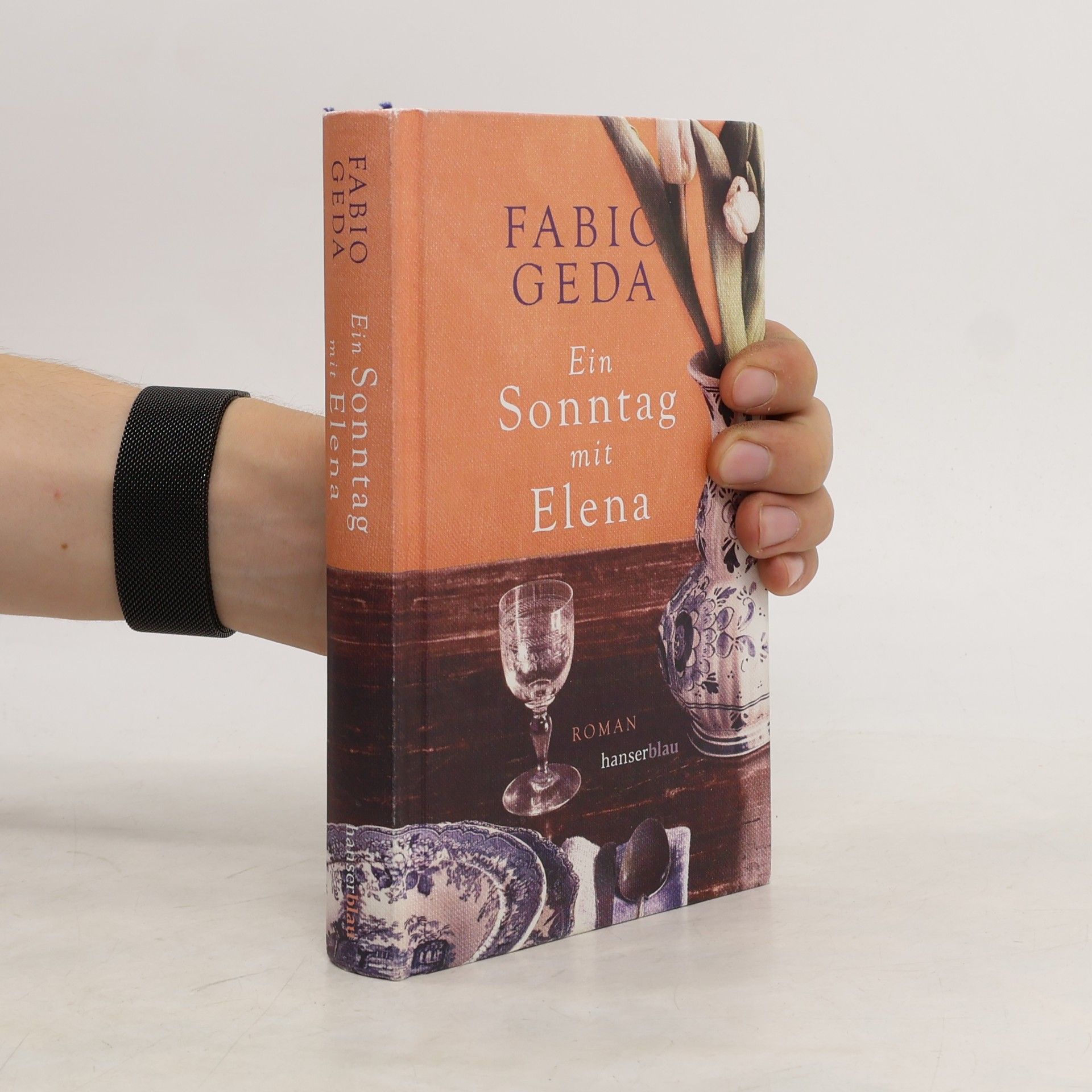 Fabio Geda Ein Sonntag mit Elena