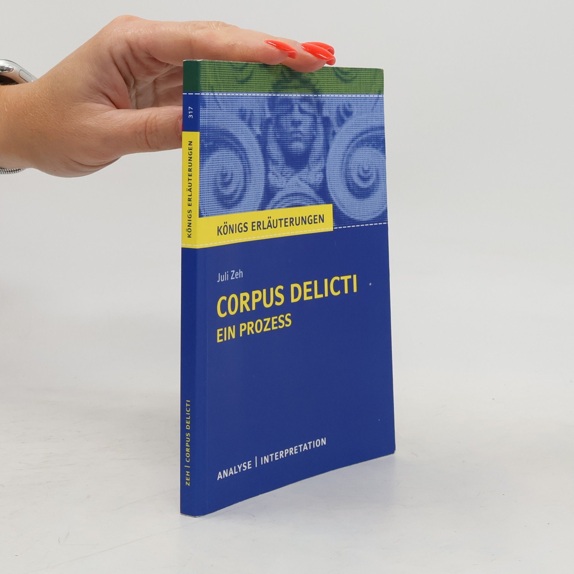 Textanalyse und Interpretation zu Juli Zeh, Corpus delicti, ein Prozess