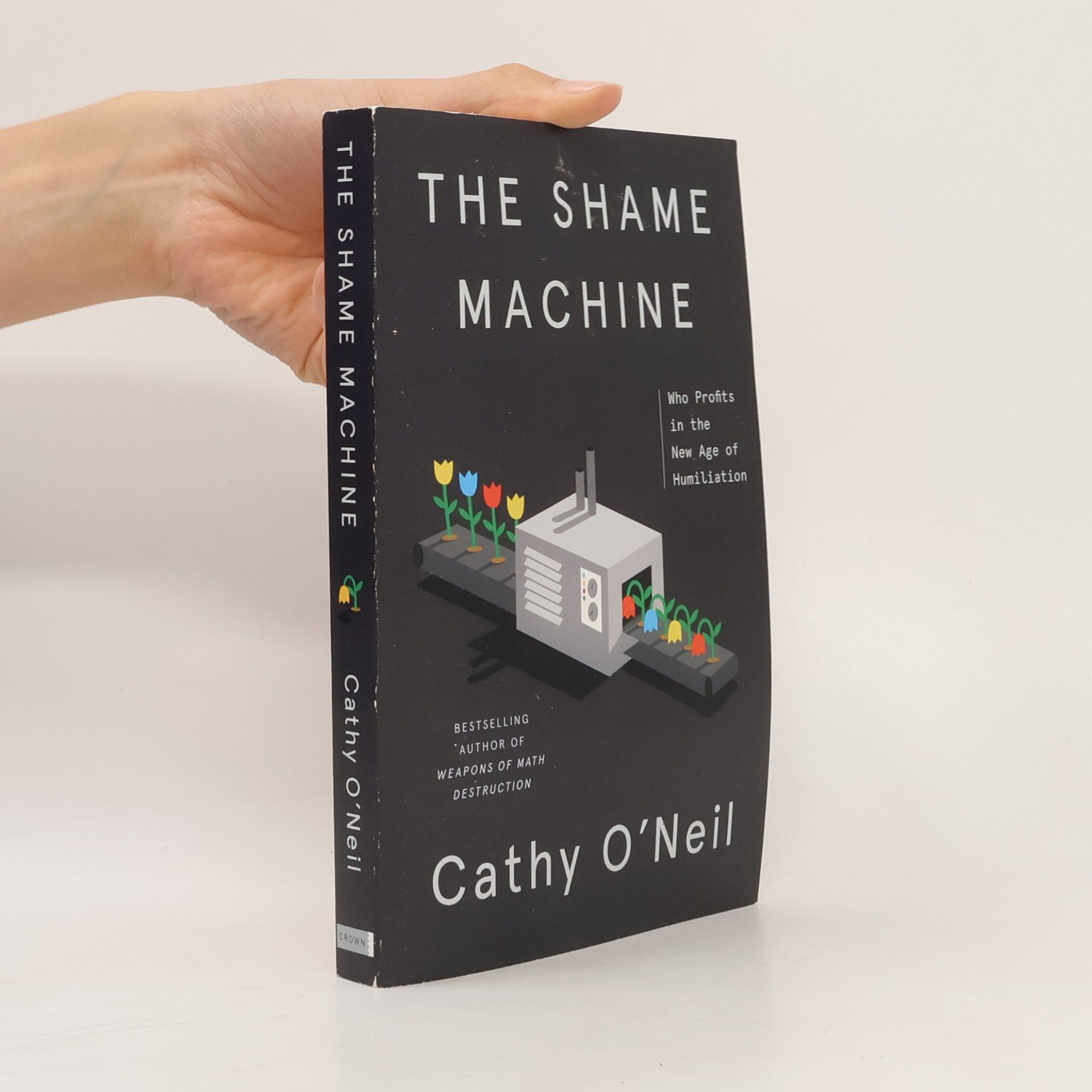 Cathy O'Neil Shame Machine