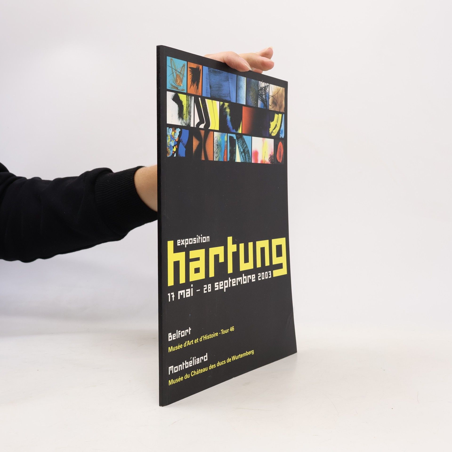 Kolektiv autorů Hartung