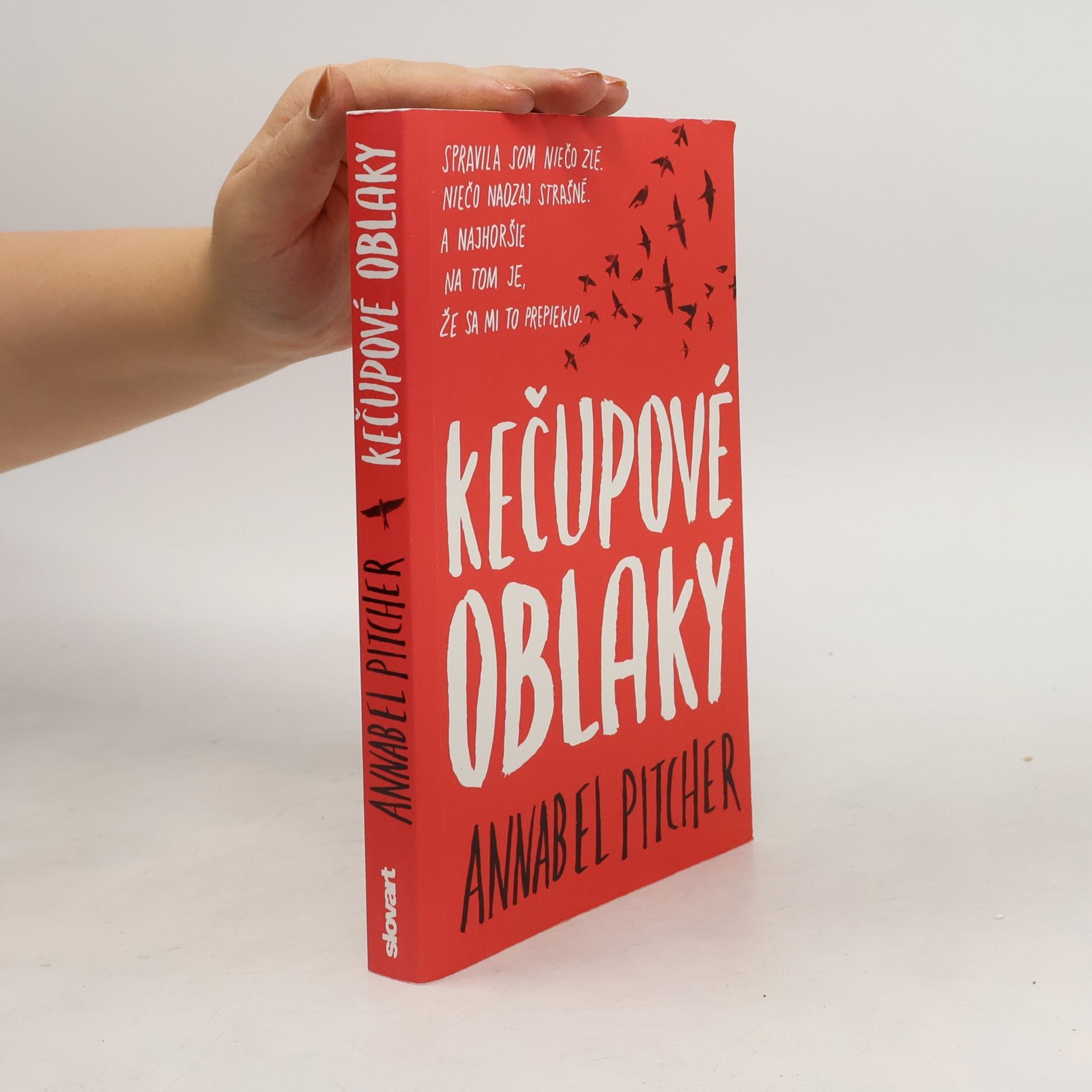 Annabel Pitcher Kečupové oblaky