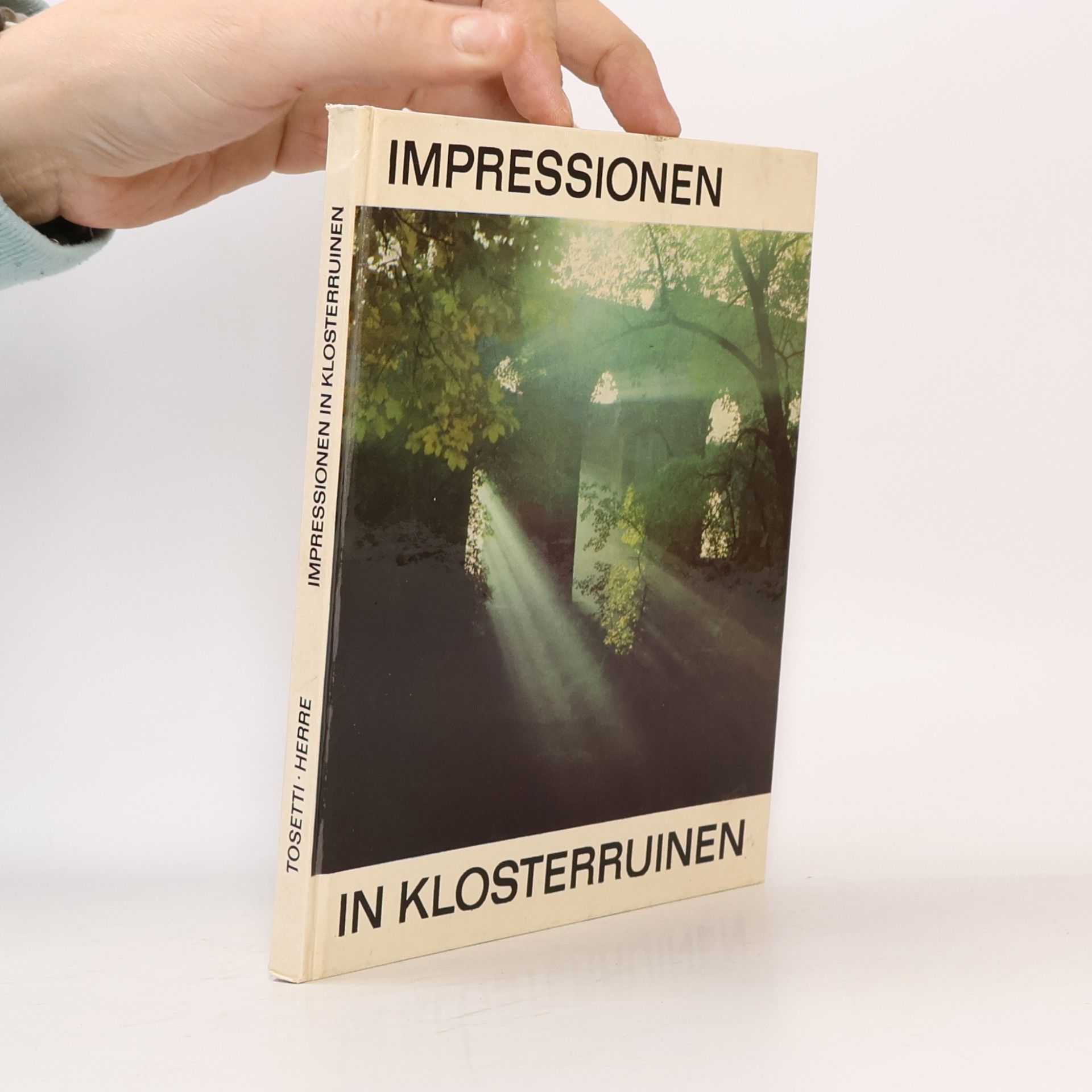Marianne Tosetti Impressionen in Klosterruinen