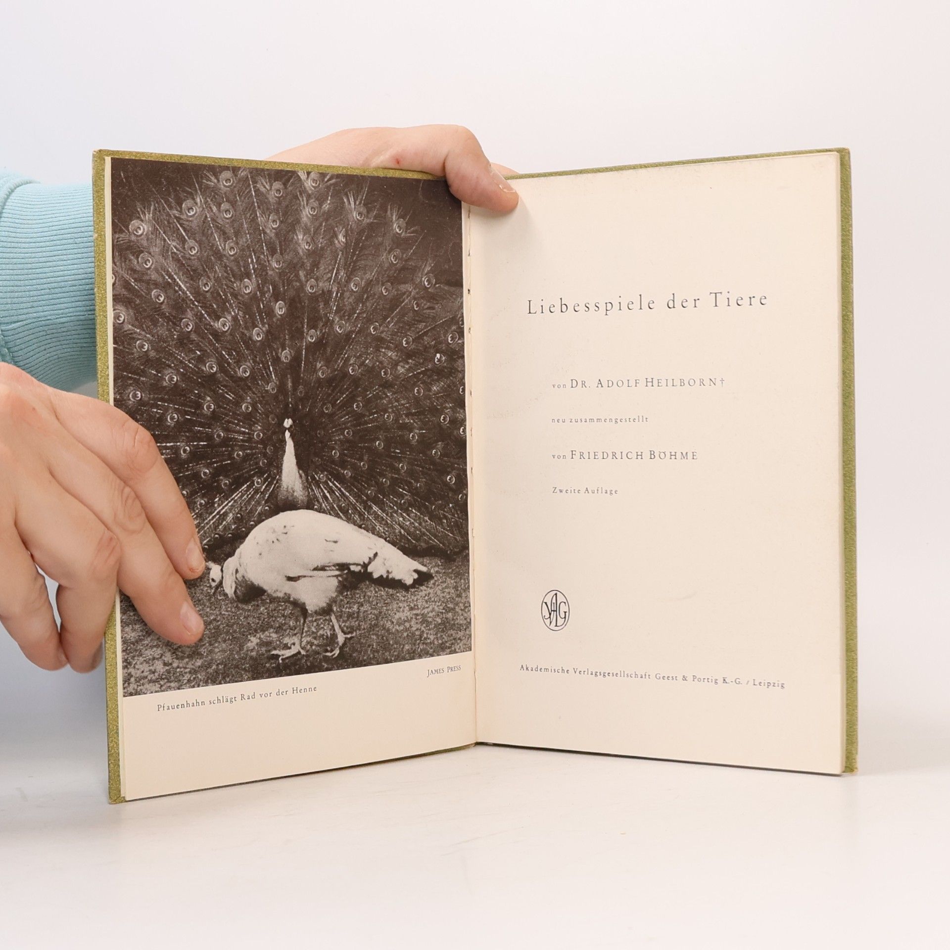 Dr. Adolf Heilborn Liebesspiele der Tiere
