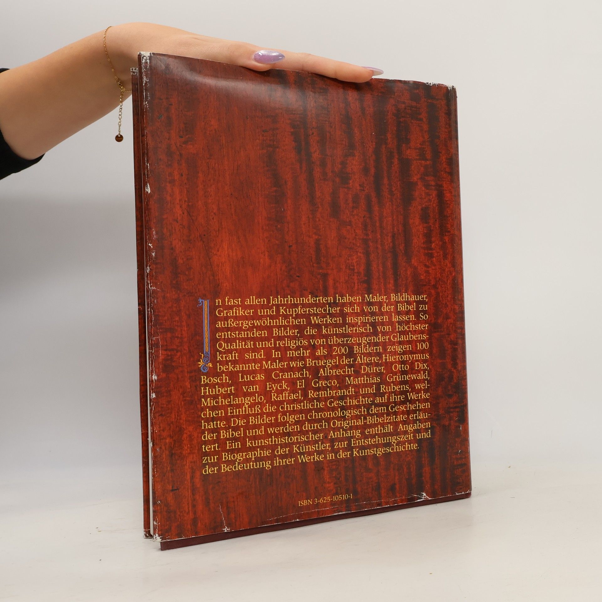 Autorenkollektiv Die Bibel in Bildern. Schatzkammer der Malerei