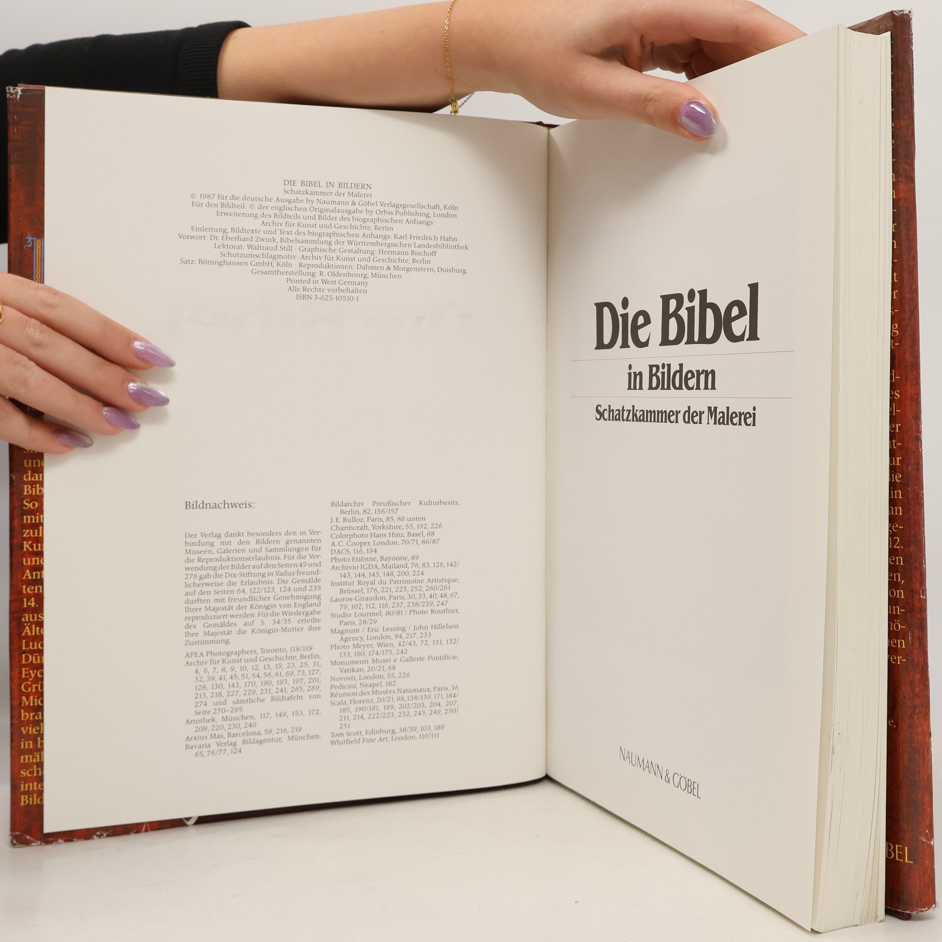 Autorenkollektiv Die Bibel in Bildern. Schatzkammer der Malerei